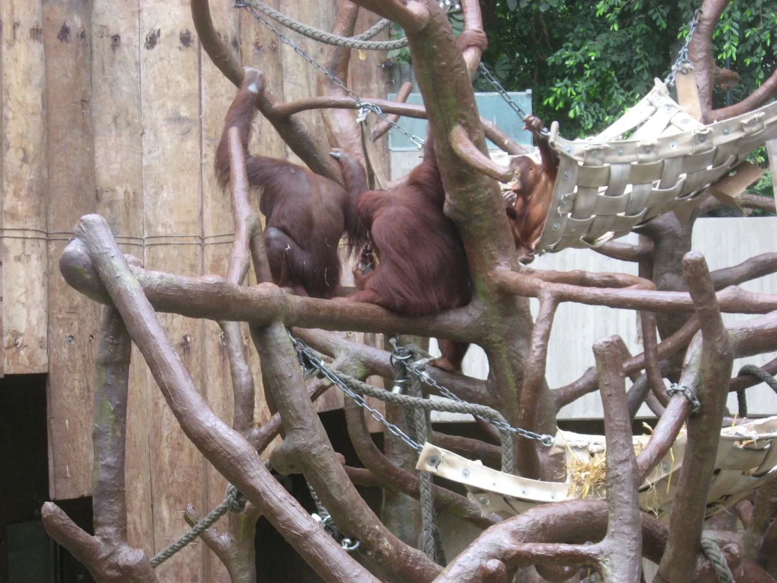 Zoo Krefeld