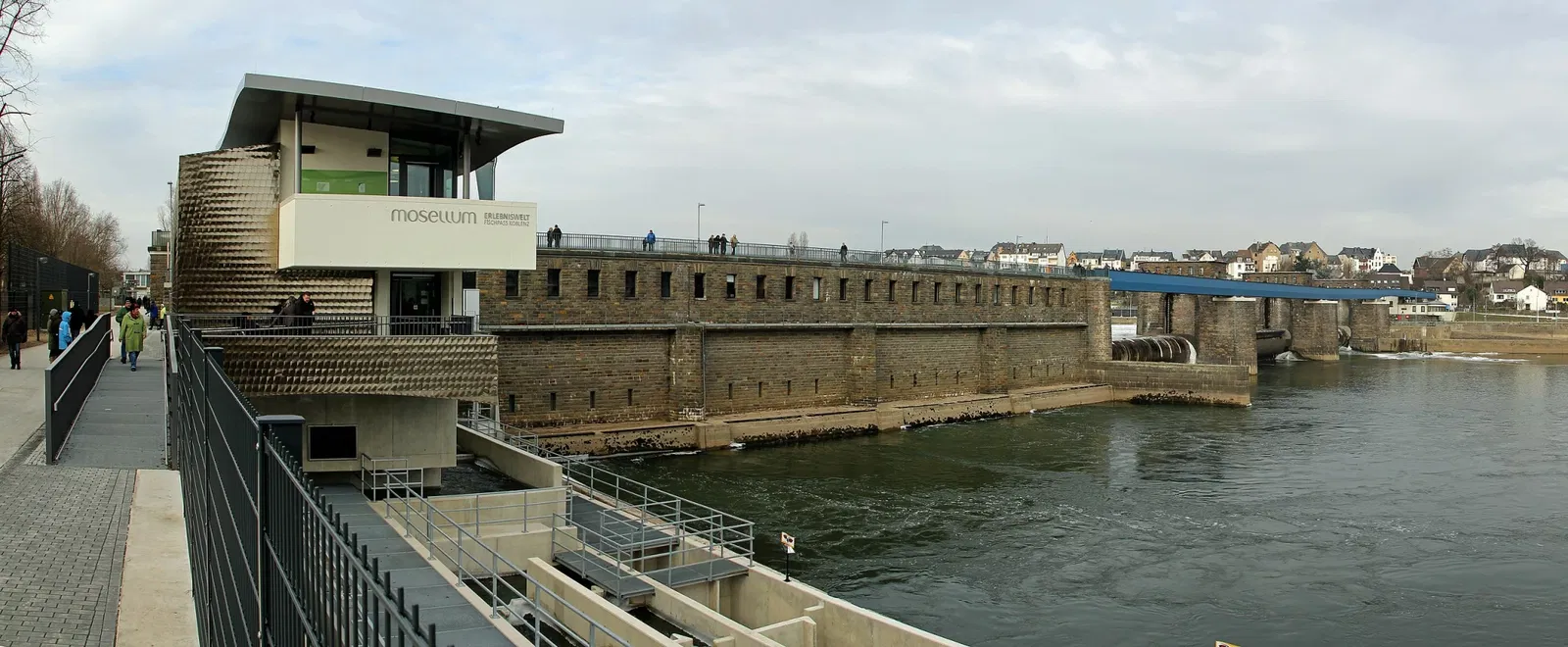 Mosellum - Erlebniswelt - Fischpass Koblenz - Mosellum
