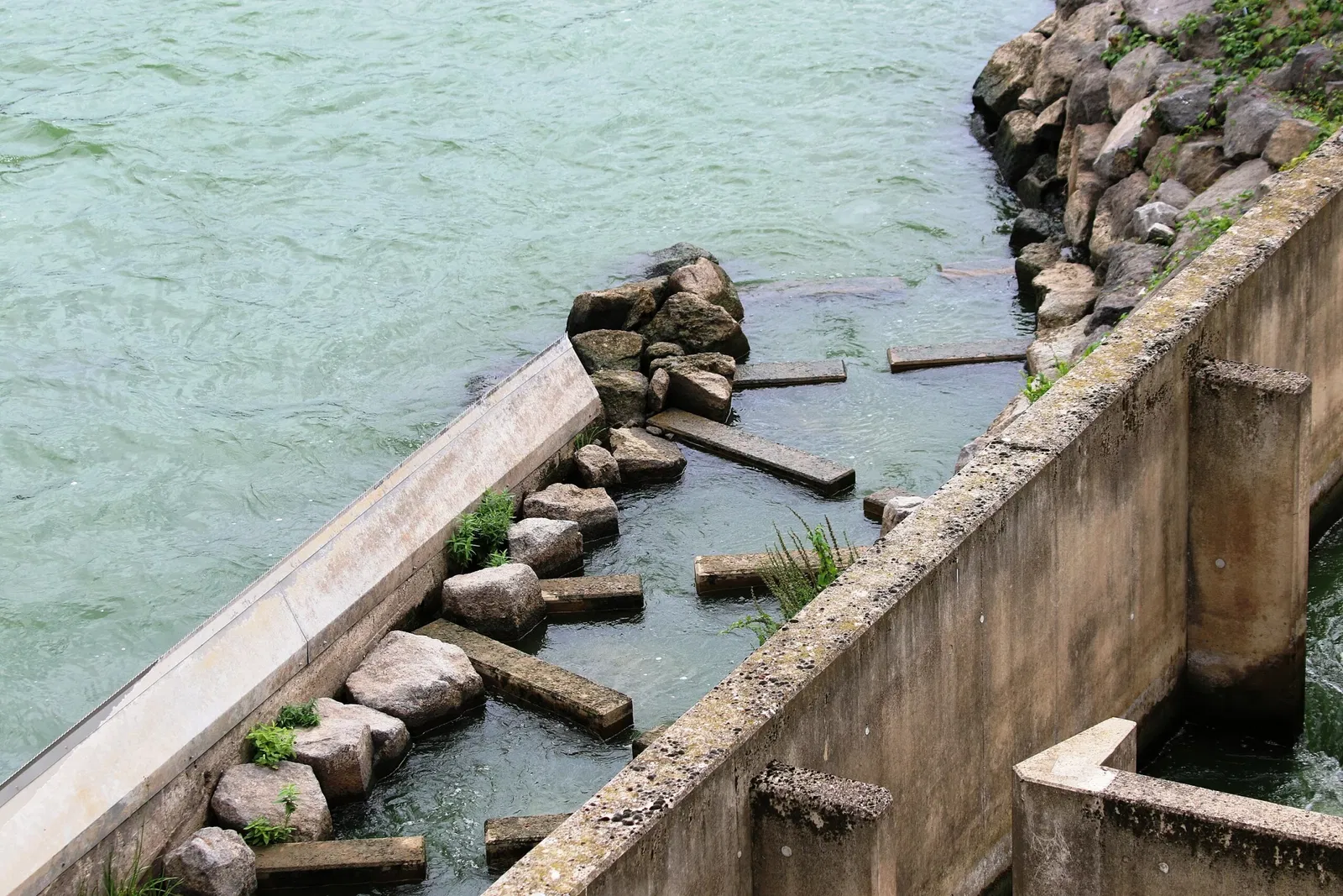 Mosellum - Erlebniswelt - Fischpass Koblenz - Mosellum