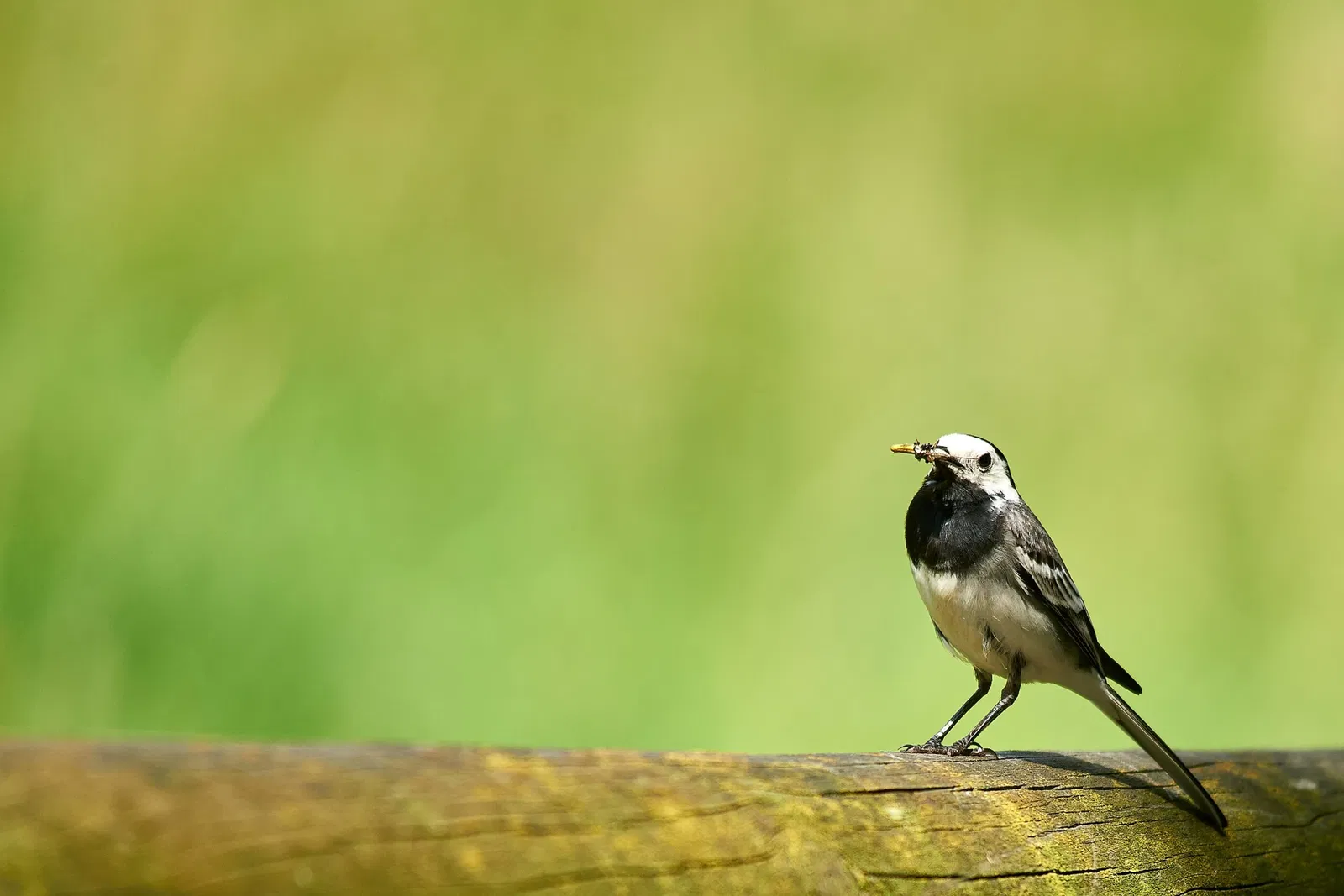 Kinderbauernhof Neuss