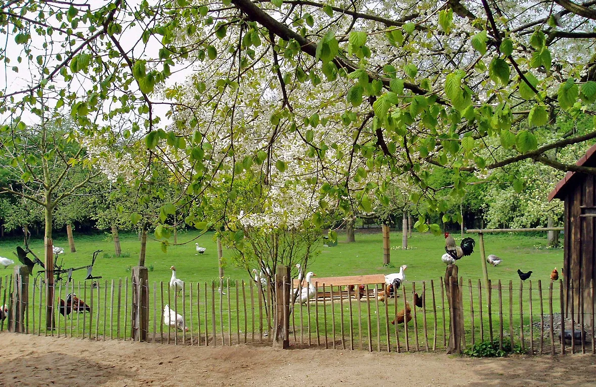 Kinderbauernhof Neuss