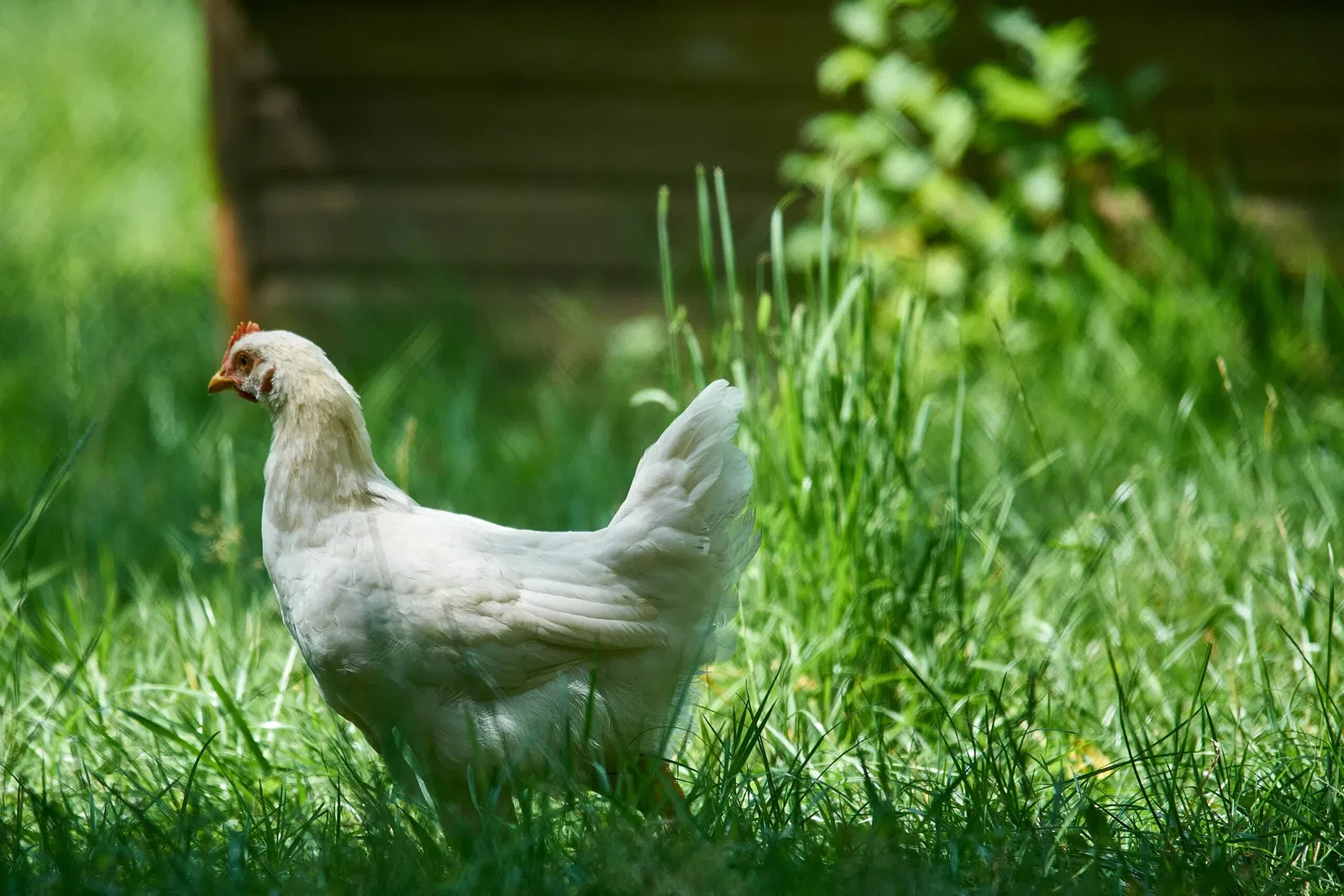 Kinderbauernhof Neuss
