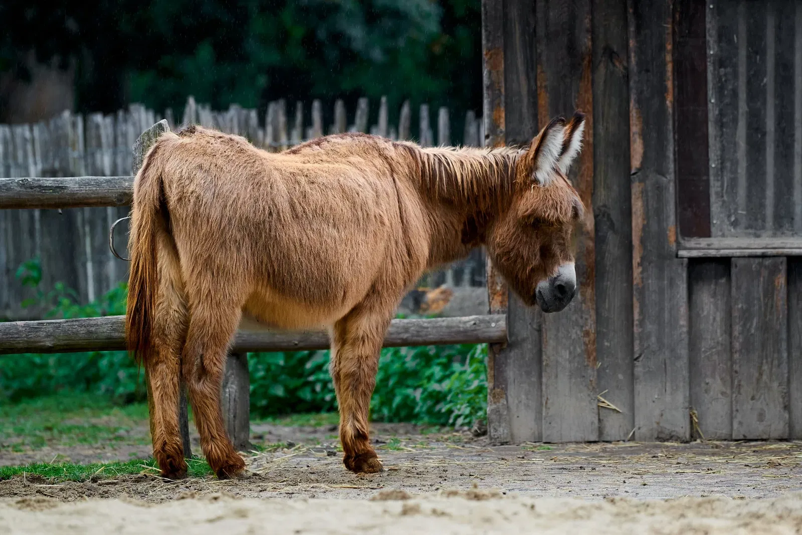 Kinderbauernhof Neuss