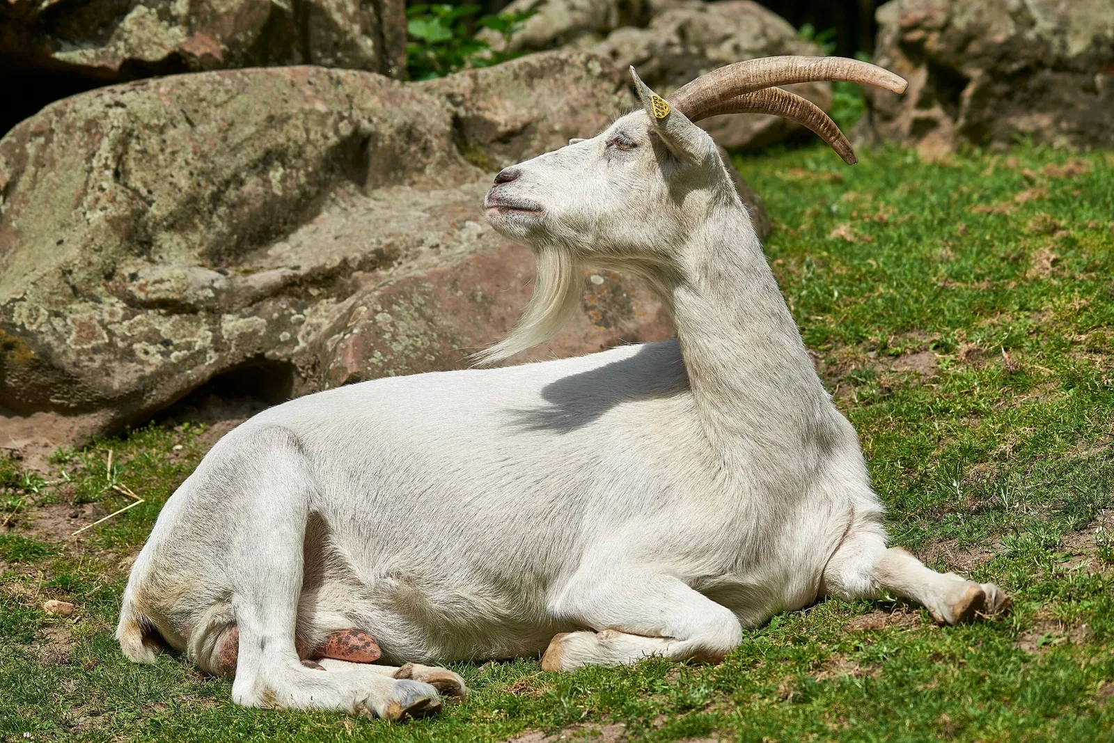 Kinderbauernhof Neuss