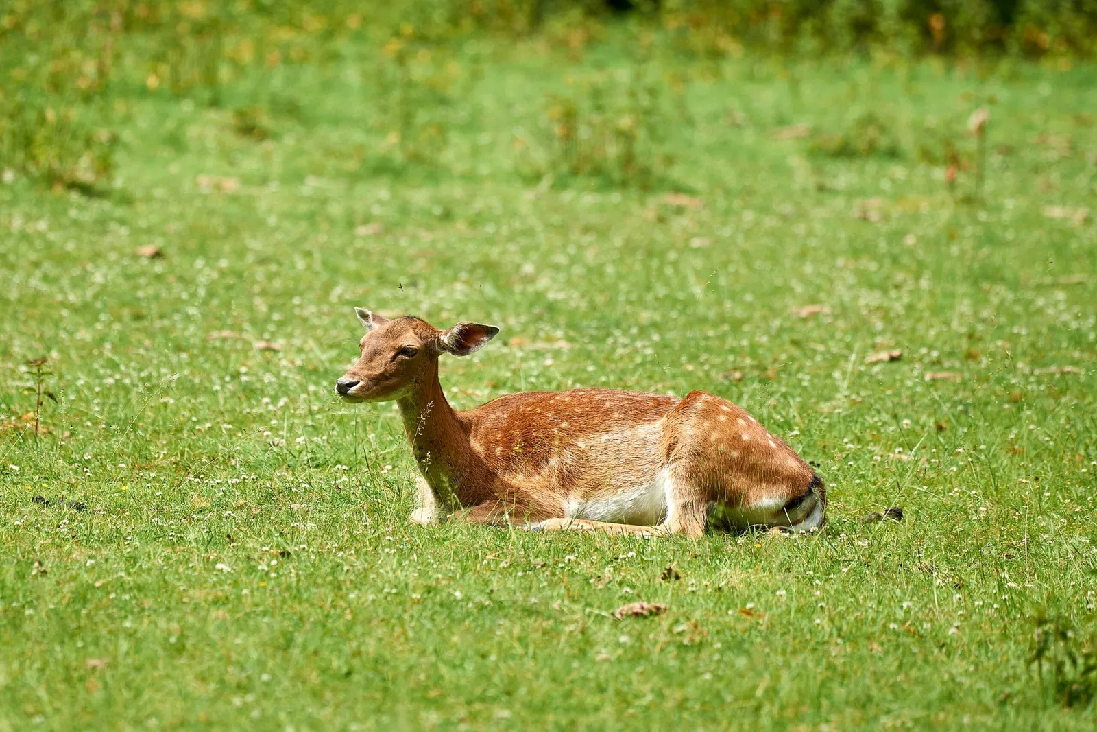 Kinderbauernhof Neuss