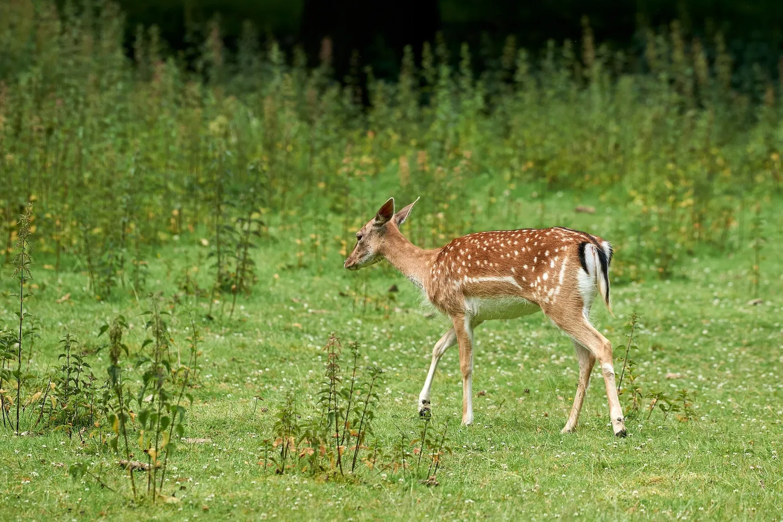 Kinderbauernhof Neuss