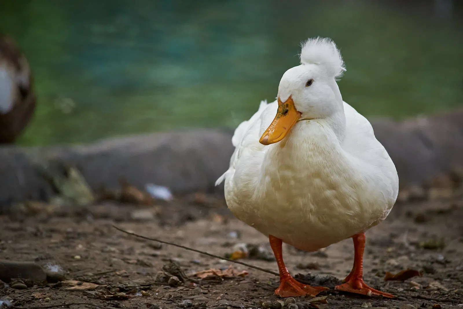Kinderbauernhof Neuss