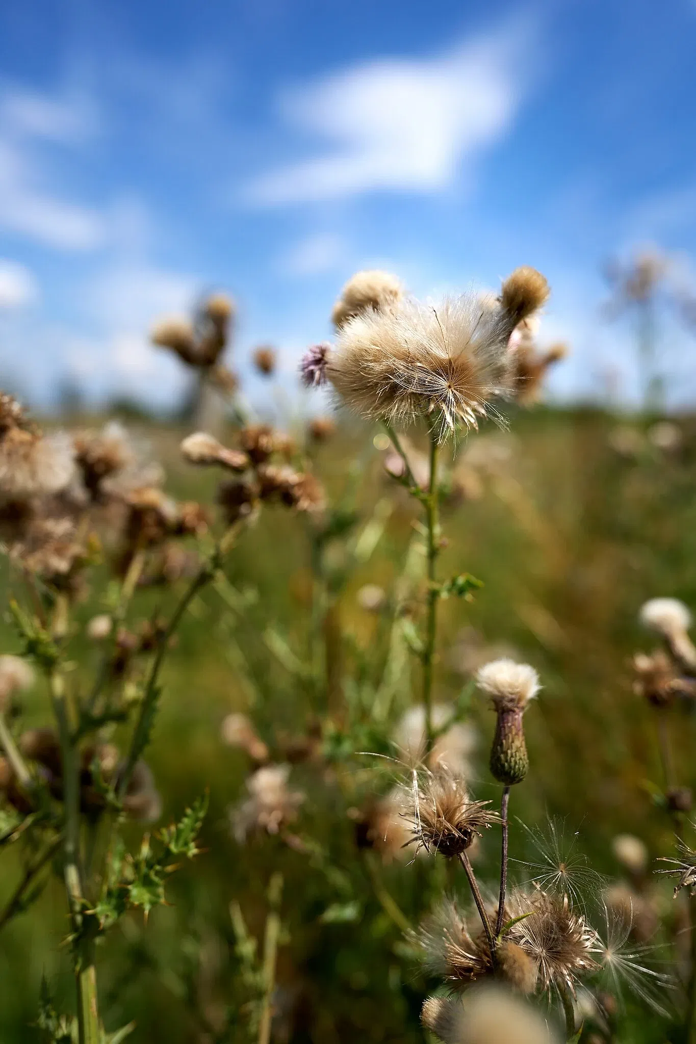 Raketenstation Hombroich