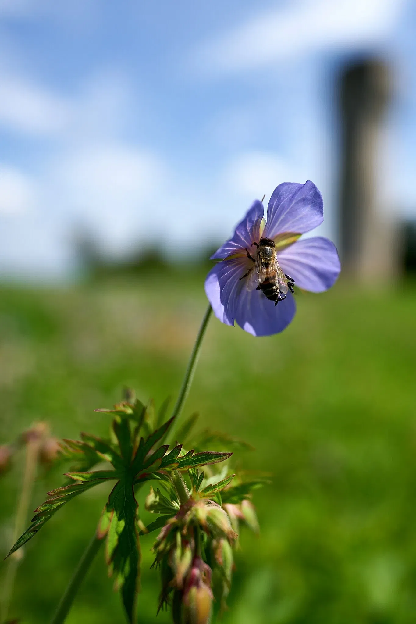 Raketenstation Hombroich