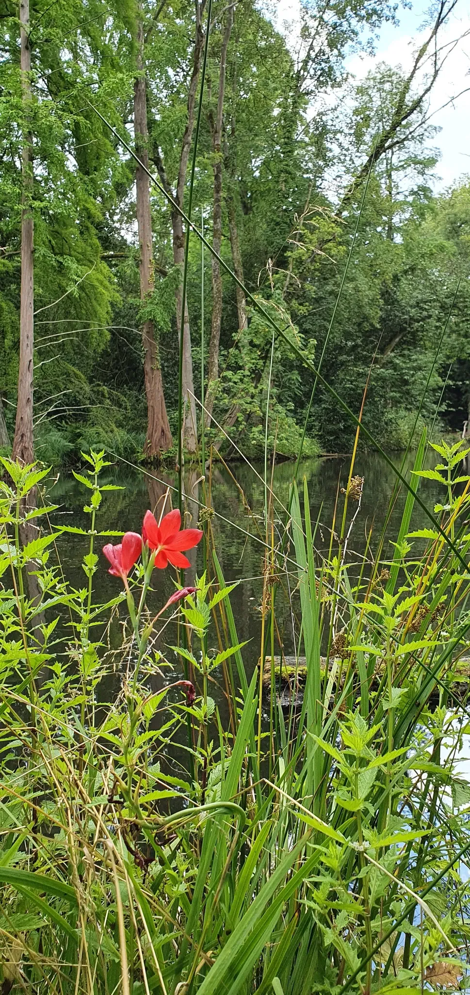 Museum Insel Hombroich