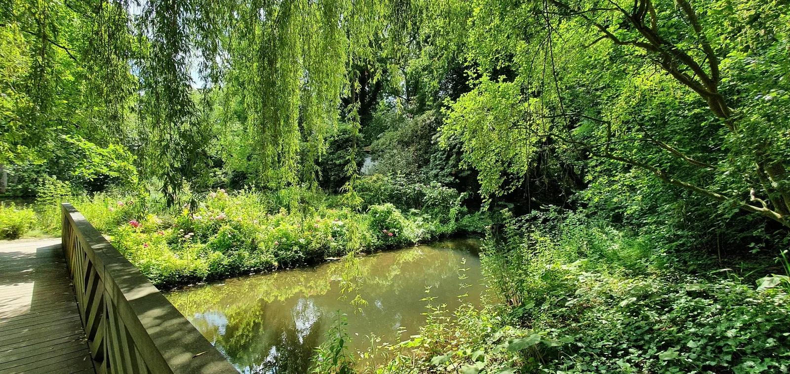 Museum Insel Hombroich