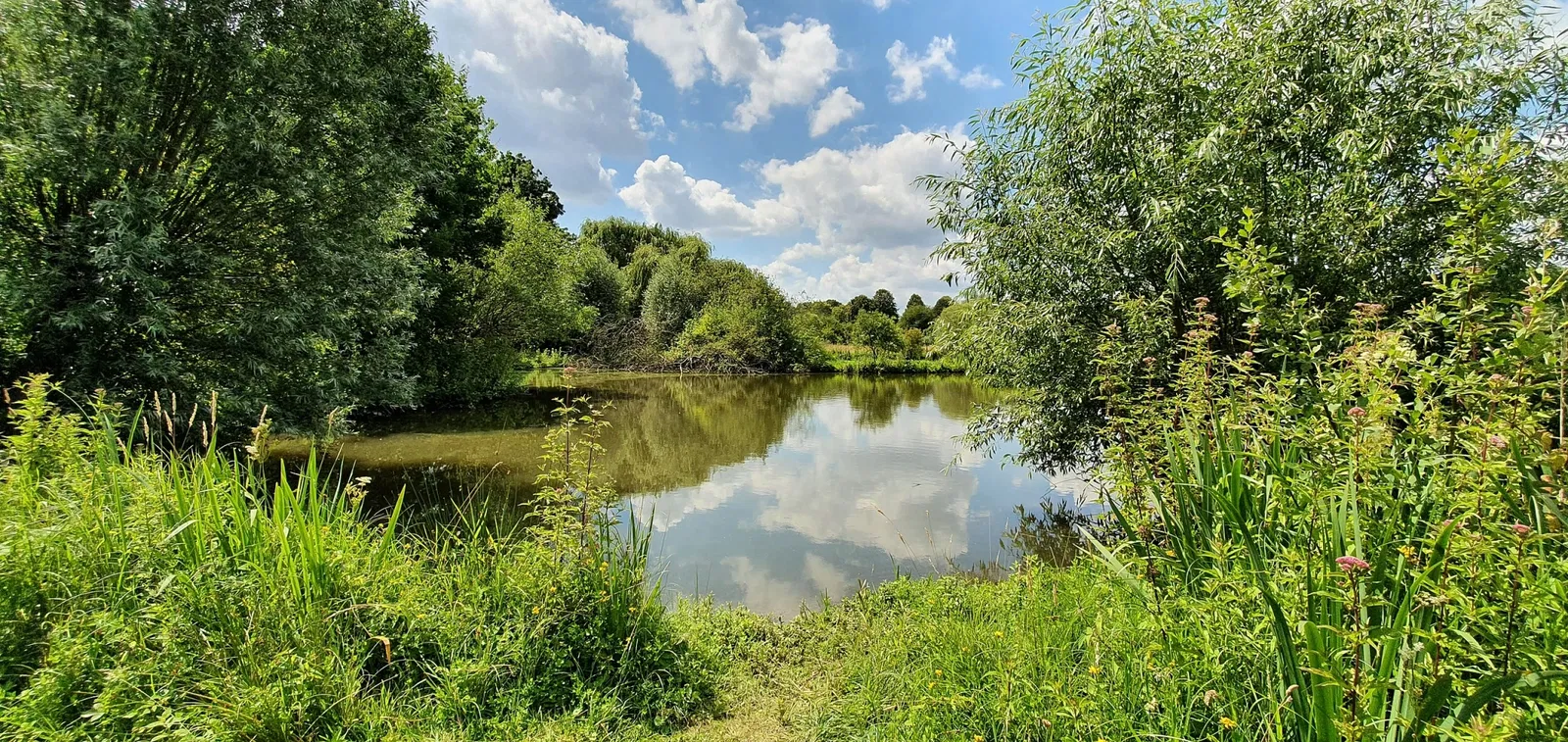 Museum Insel Hombroich