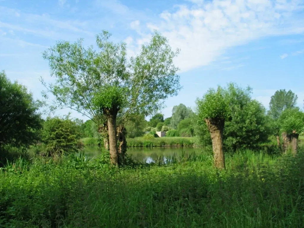 Museum Insel Hombroich