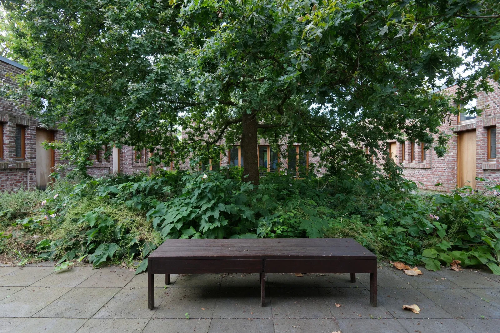 Museum Insel Hombroich