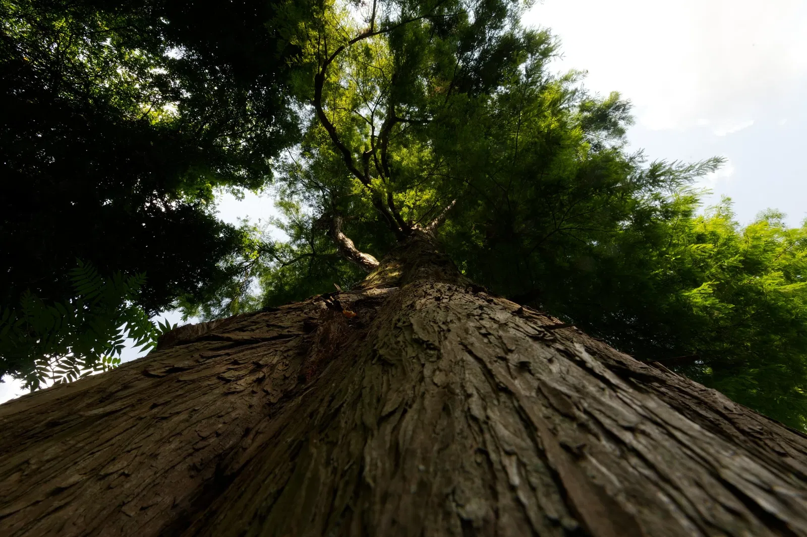 Museum Insel Hombroich