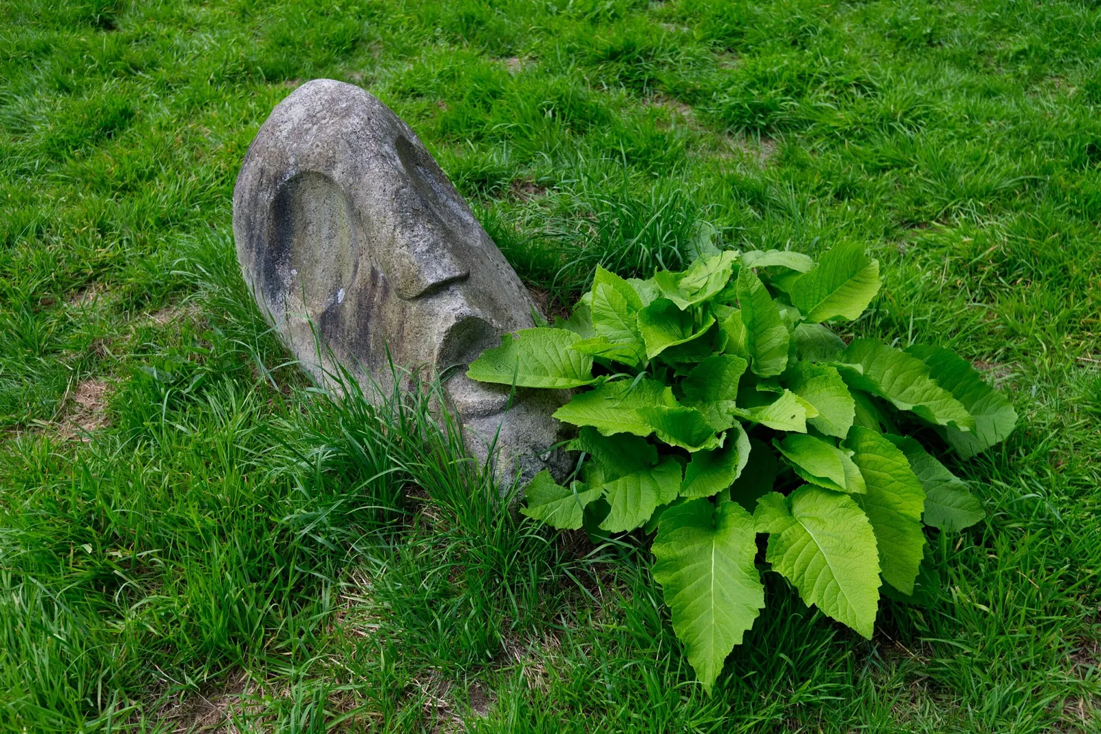 Museum Insel Hombroich