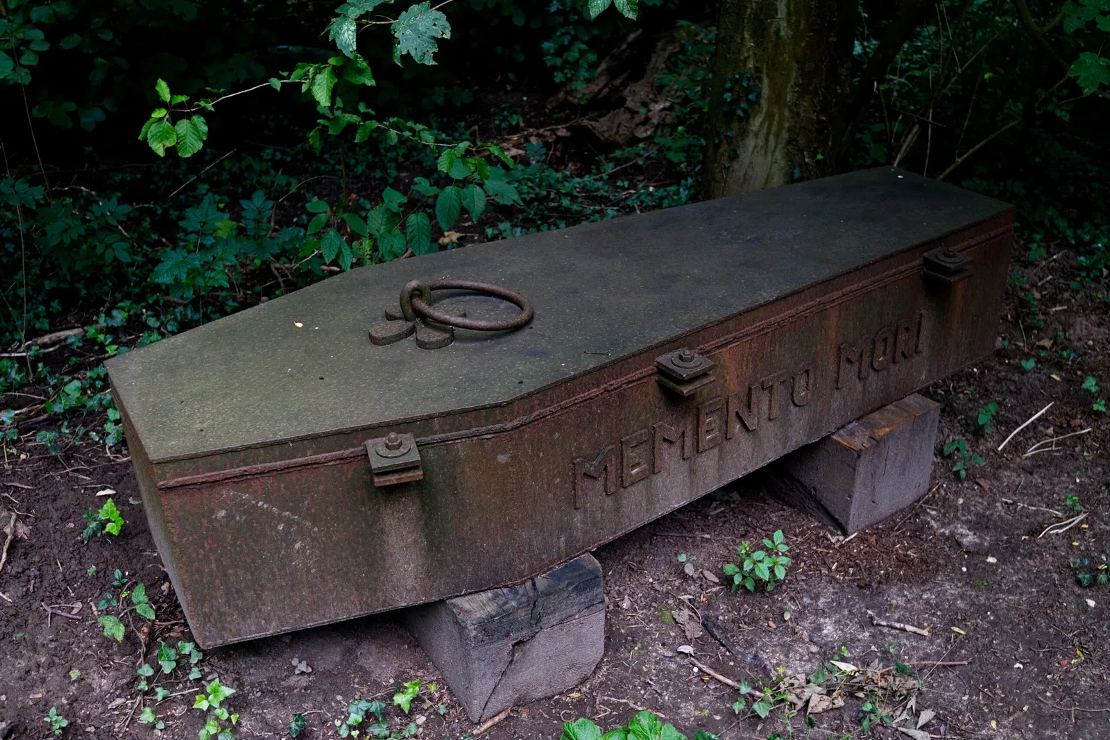 Museum Insel Hombroich