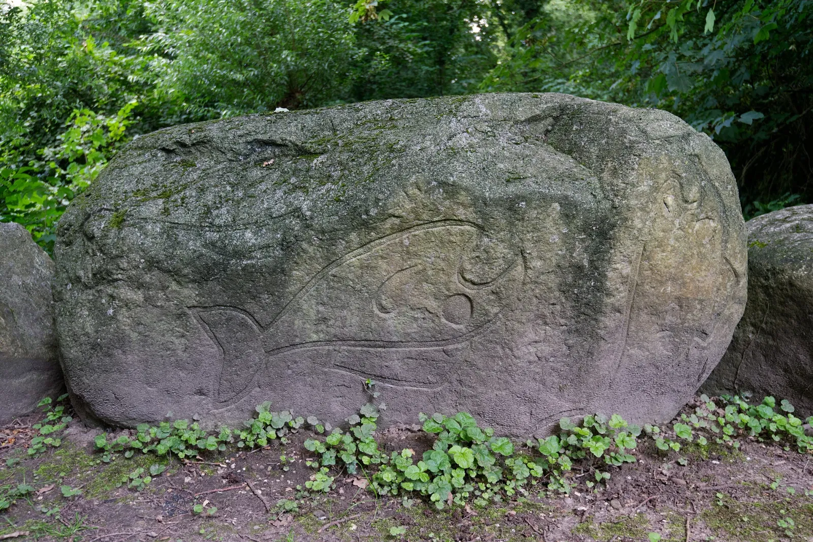 Museum Insel Hombroich