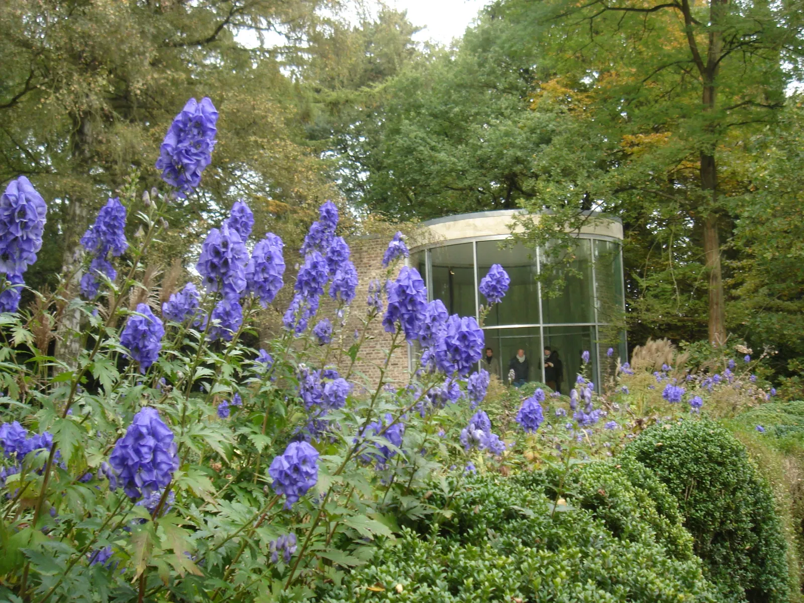 Museum Insel Hombroich