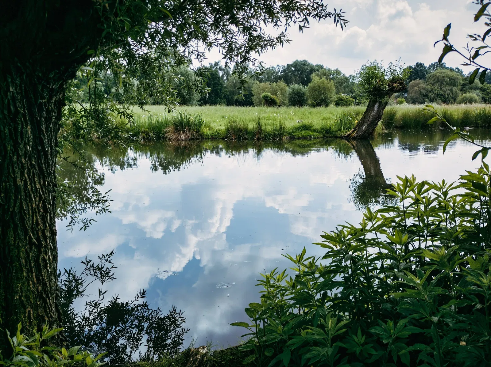 Museum Insel Hombroich