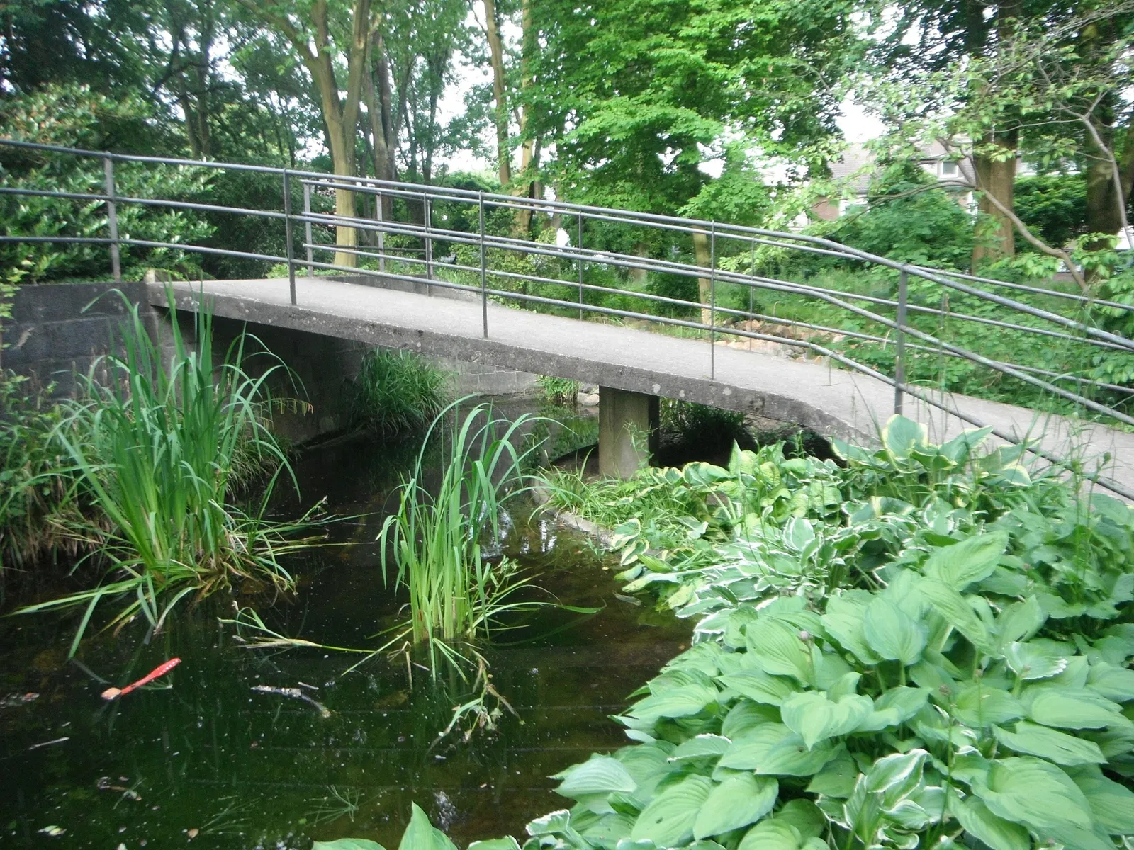 Botanischer Garten der Stadt Neuss