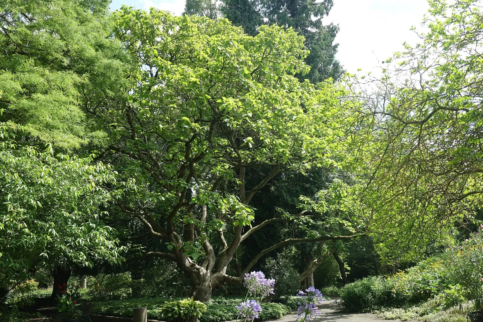 Botanischer Garten der Stadt Neuss