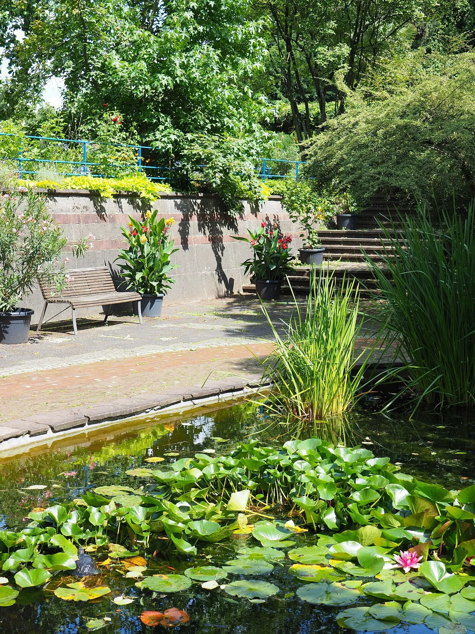Jardín botánico de Neuss