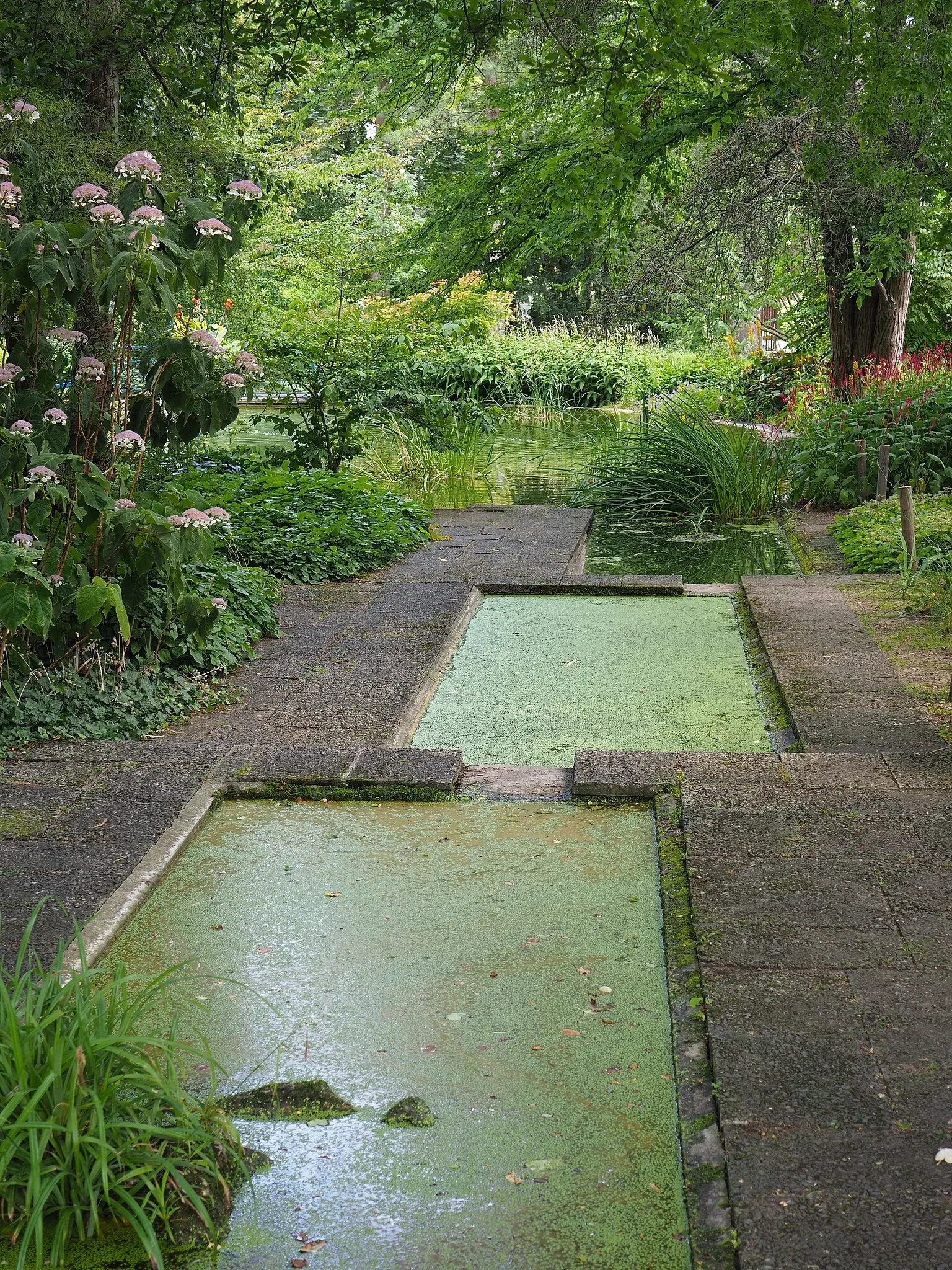 Botanischen Garten Neuss