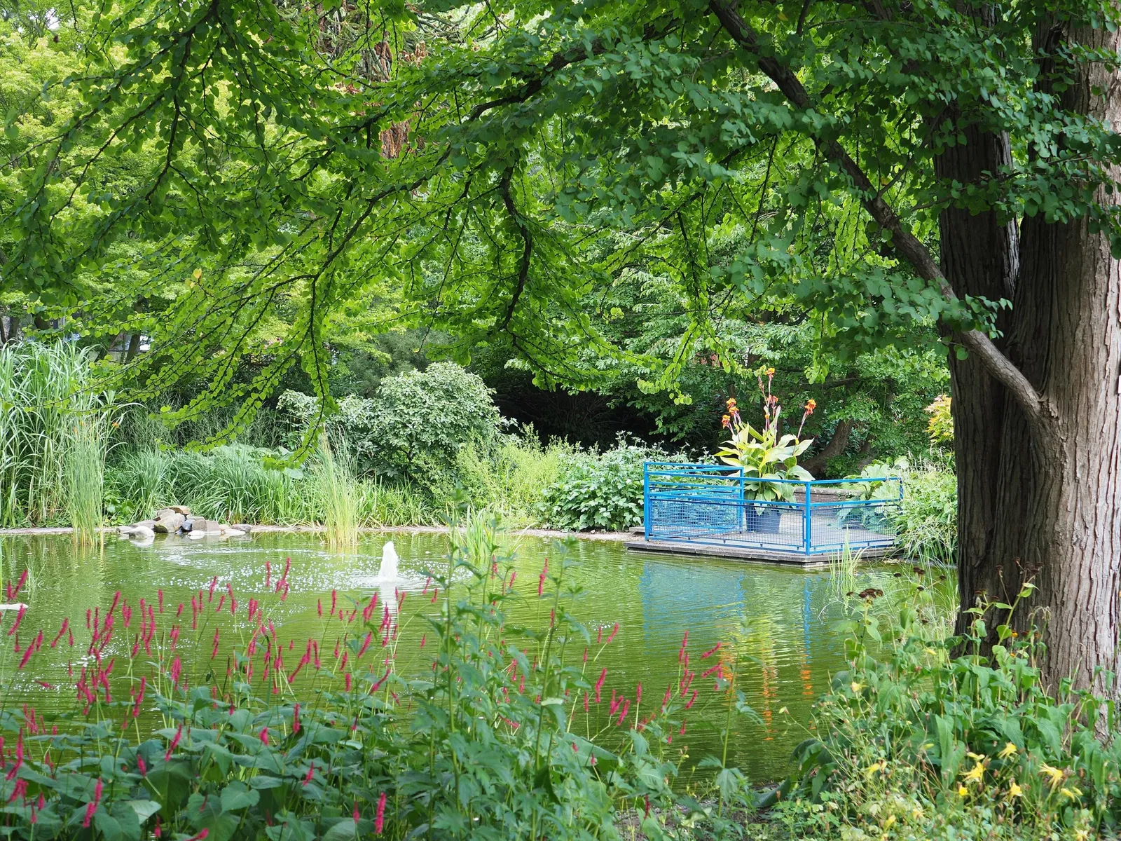 Jardín botánico de Neuss