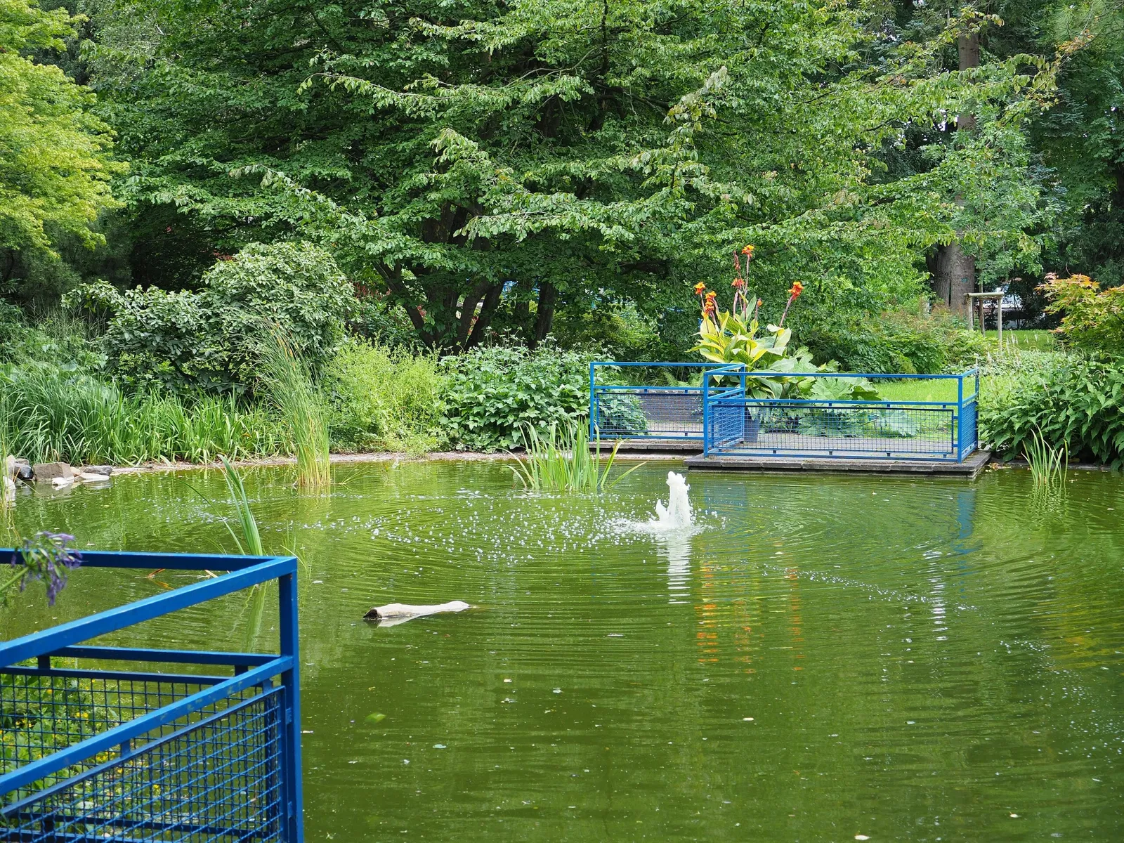 Botanischer Garten der Stadt Neuss