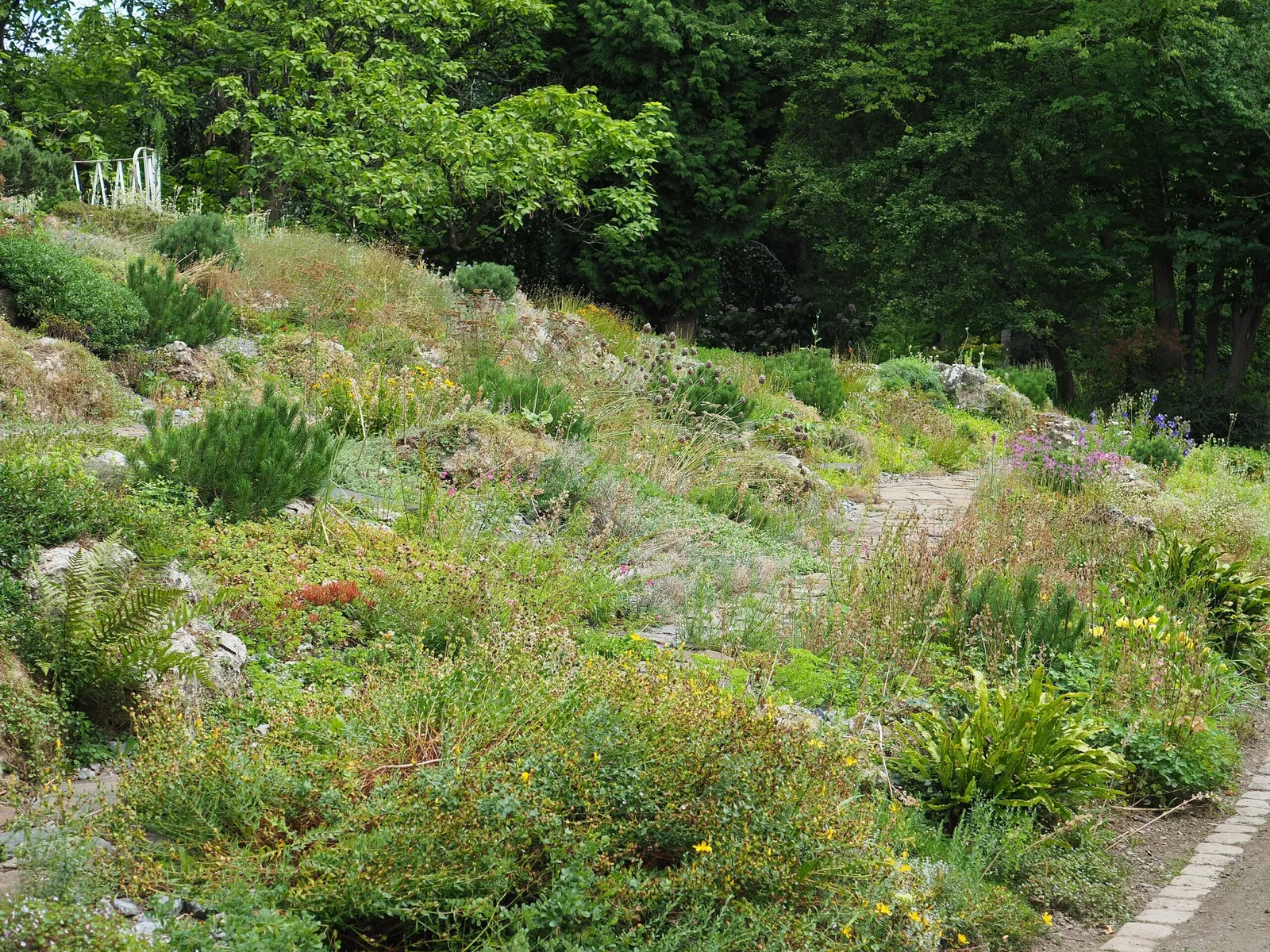 Botanischer Garten der Stadt Neuss
