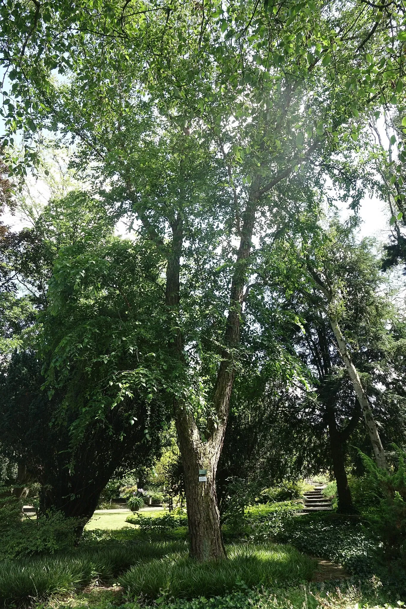 Jardín botánico de Neuss