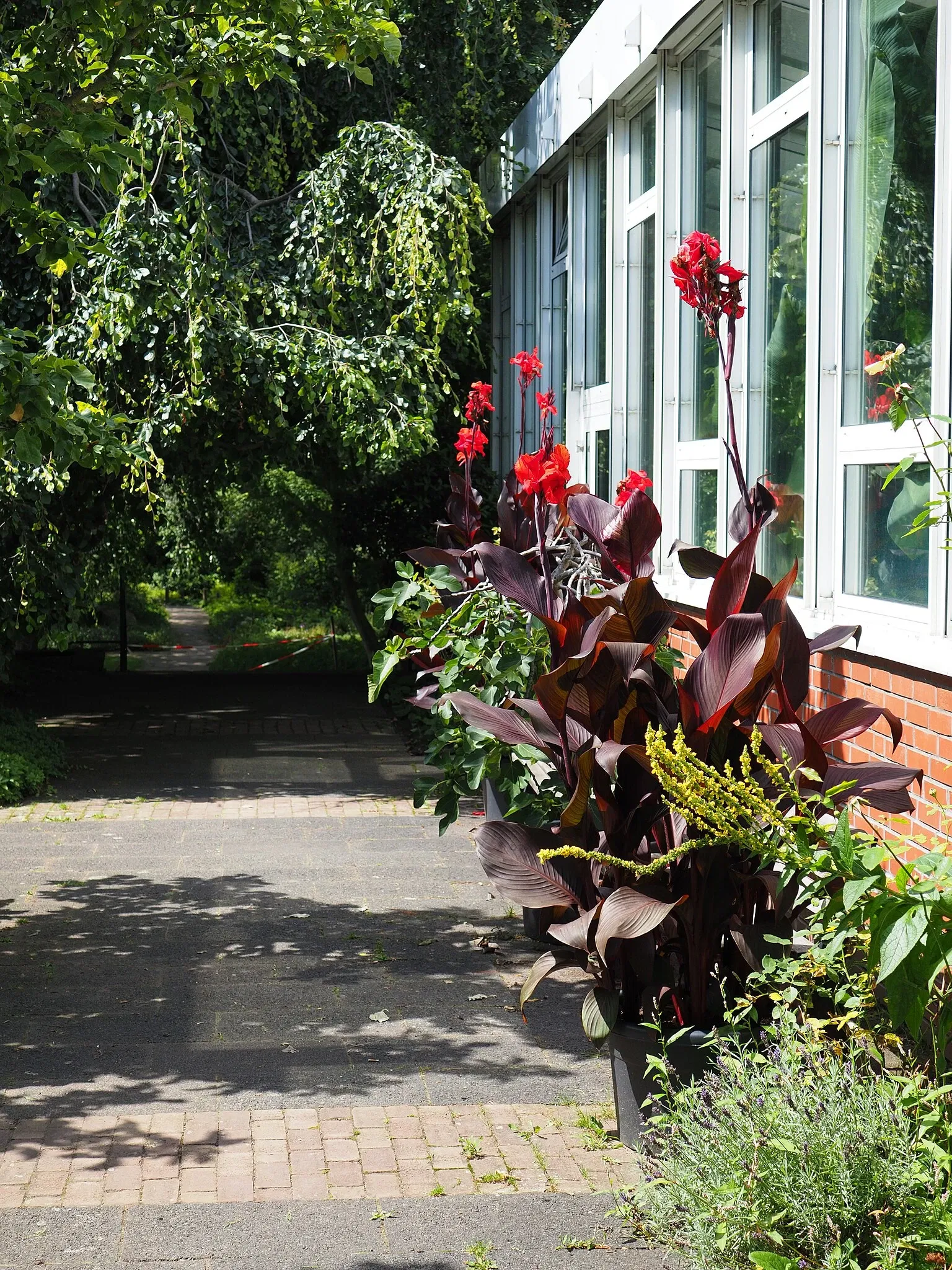 Jardín botánico de Neuss