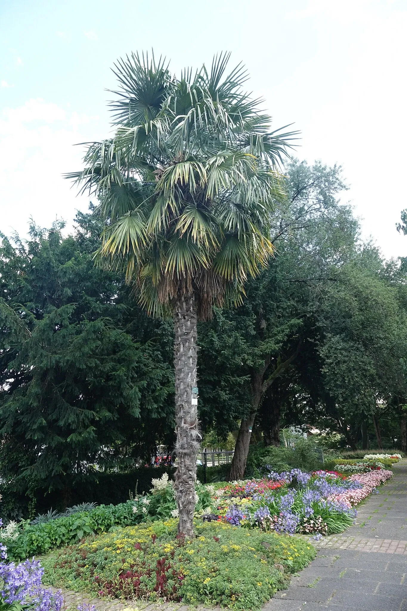 Botanischen Garten Neuss
