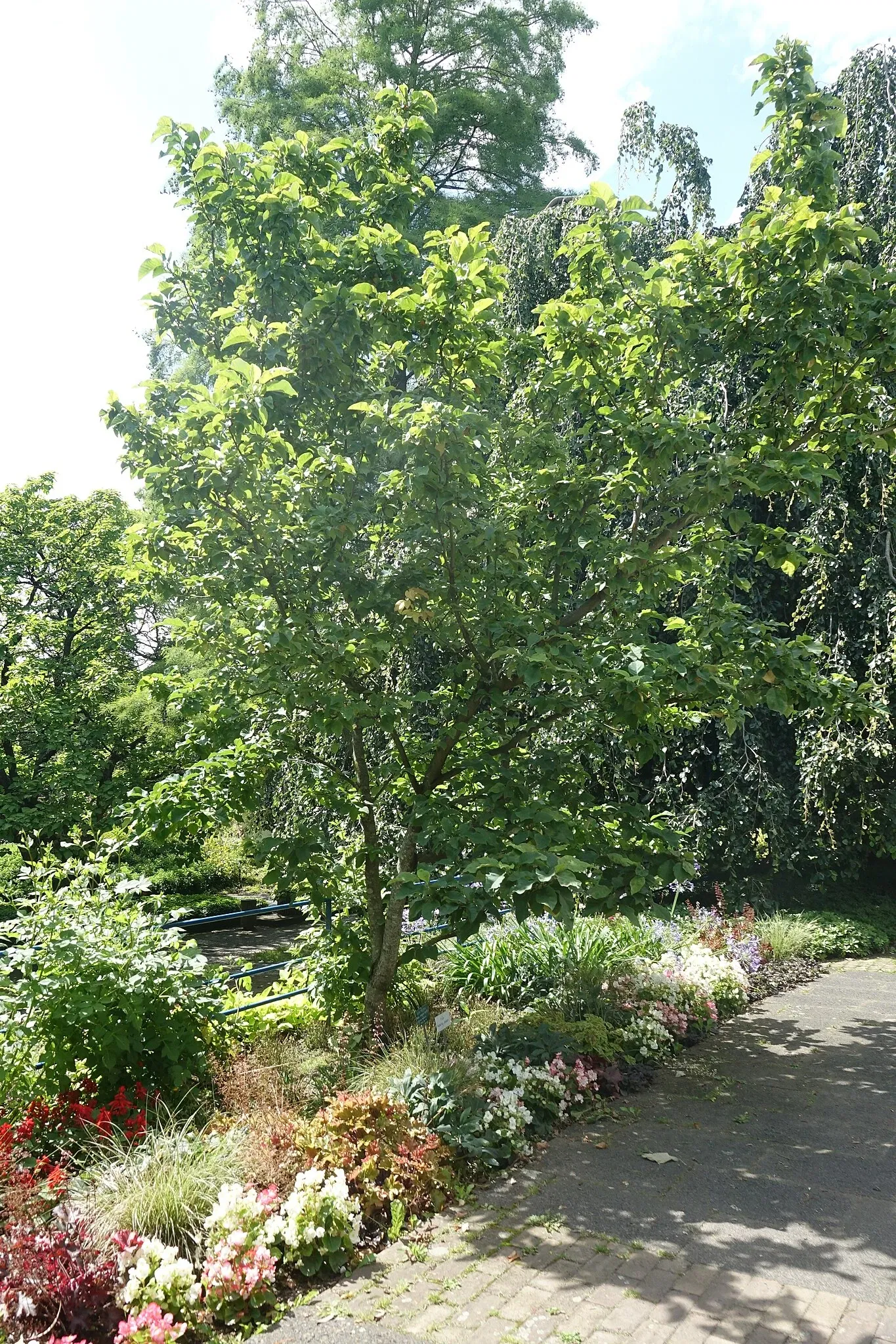 Botanischen Garten Neuss