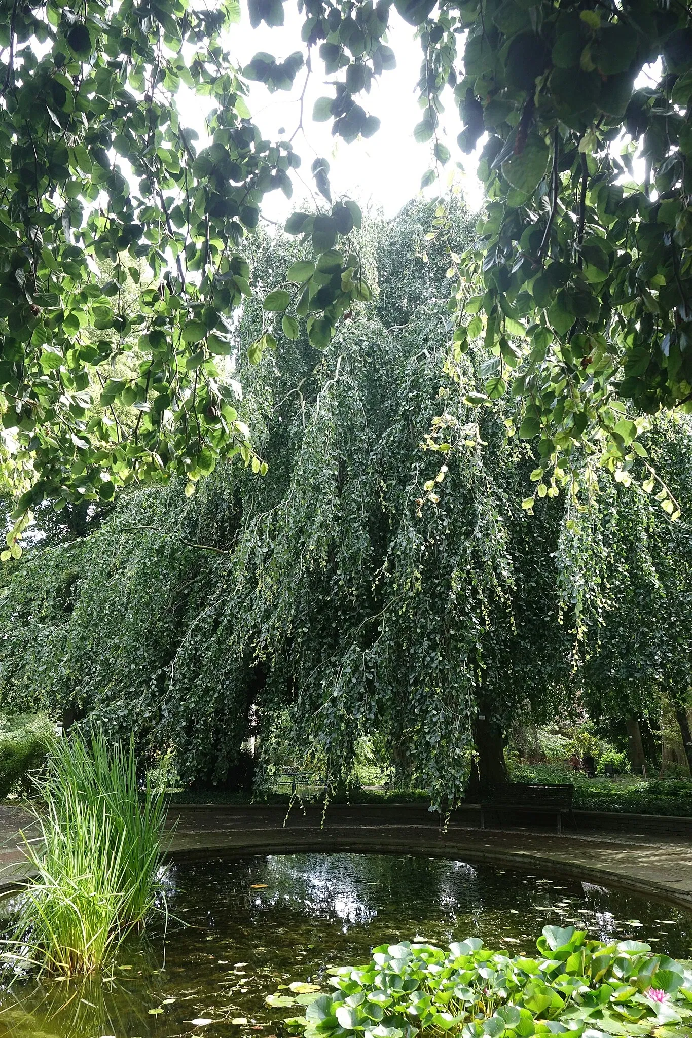 Jardín botánico de Neuss