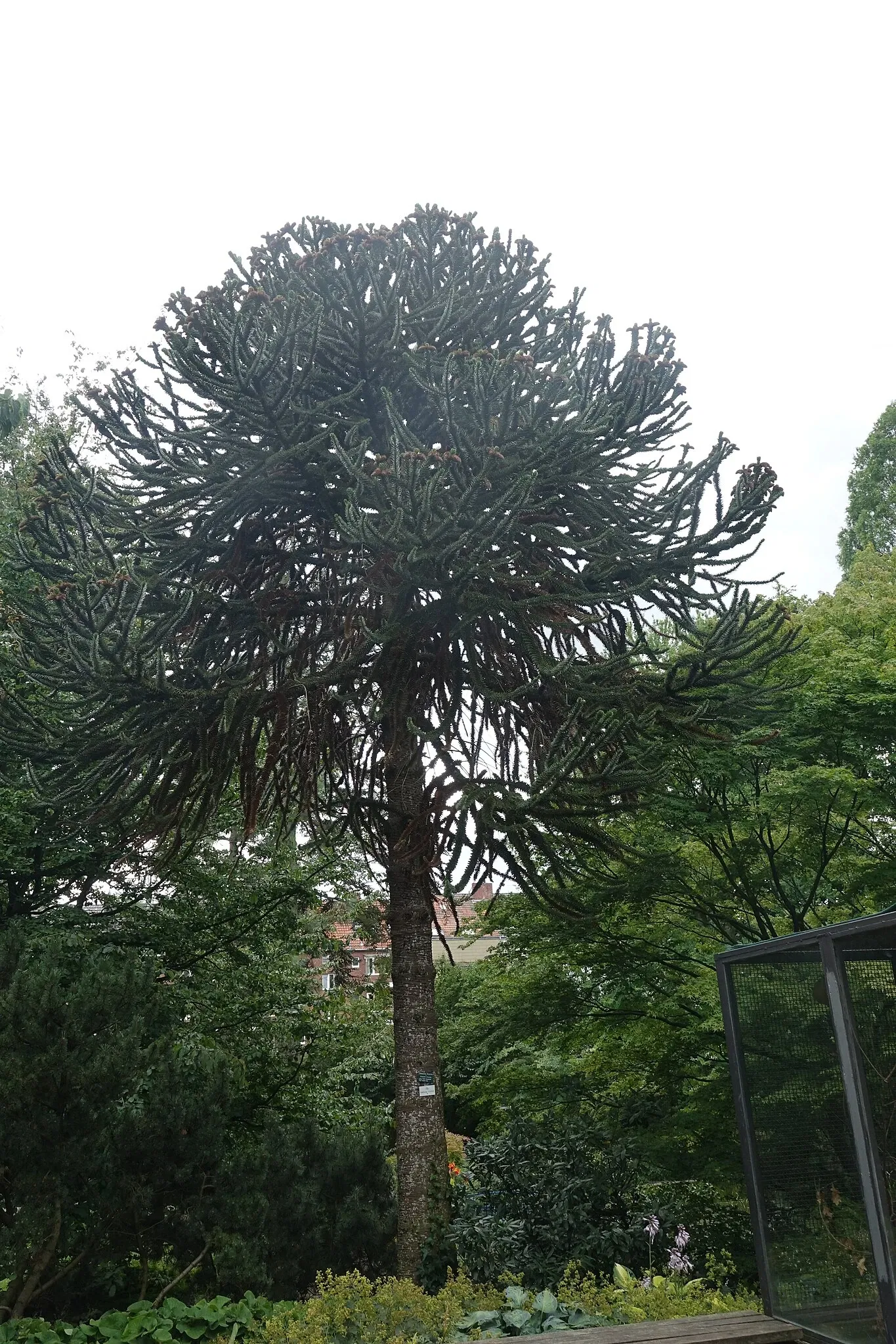 Jardín botánico de Neuss