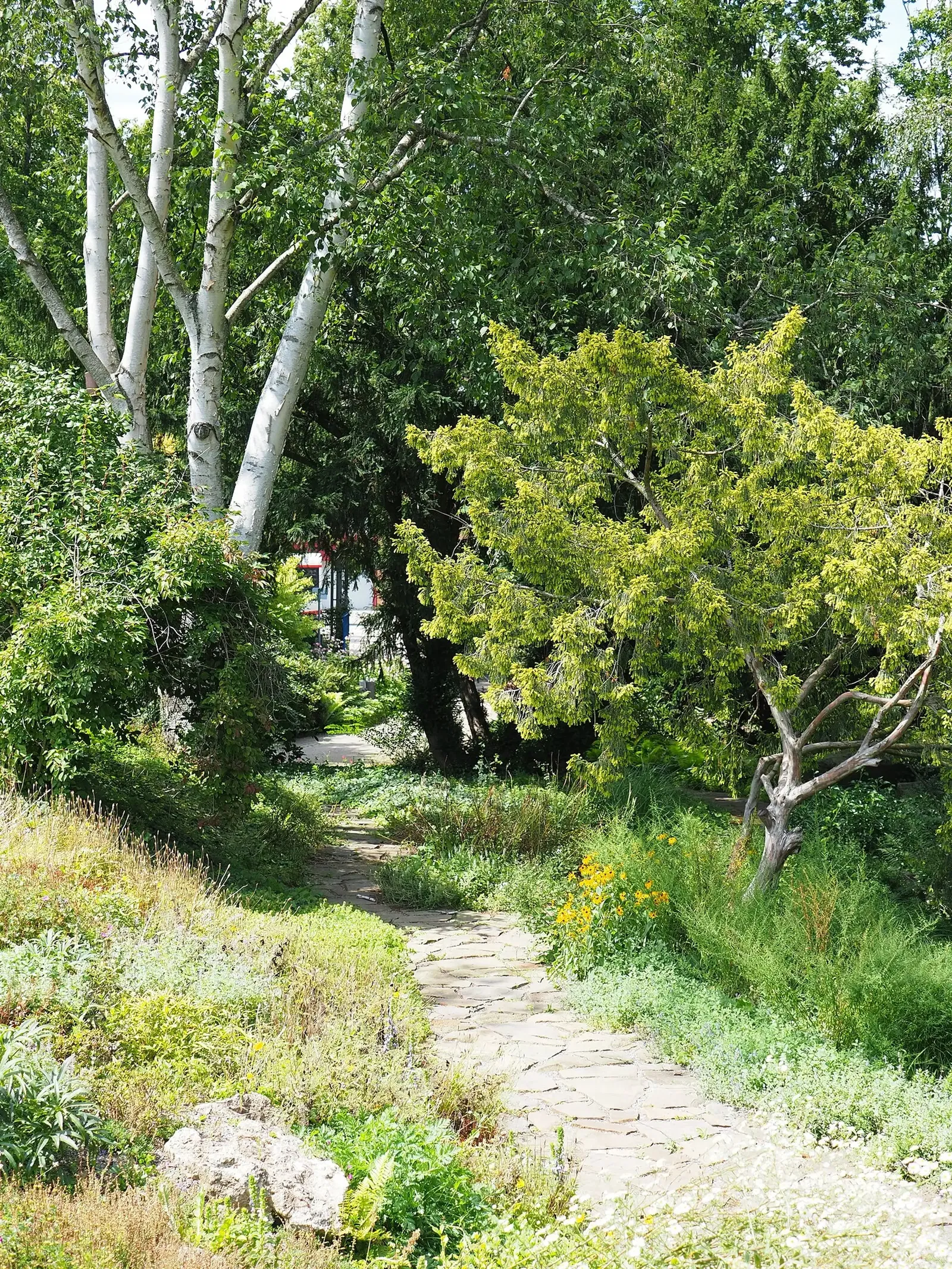 Botanischer Garten der Stadt Neuss