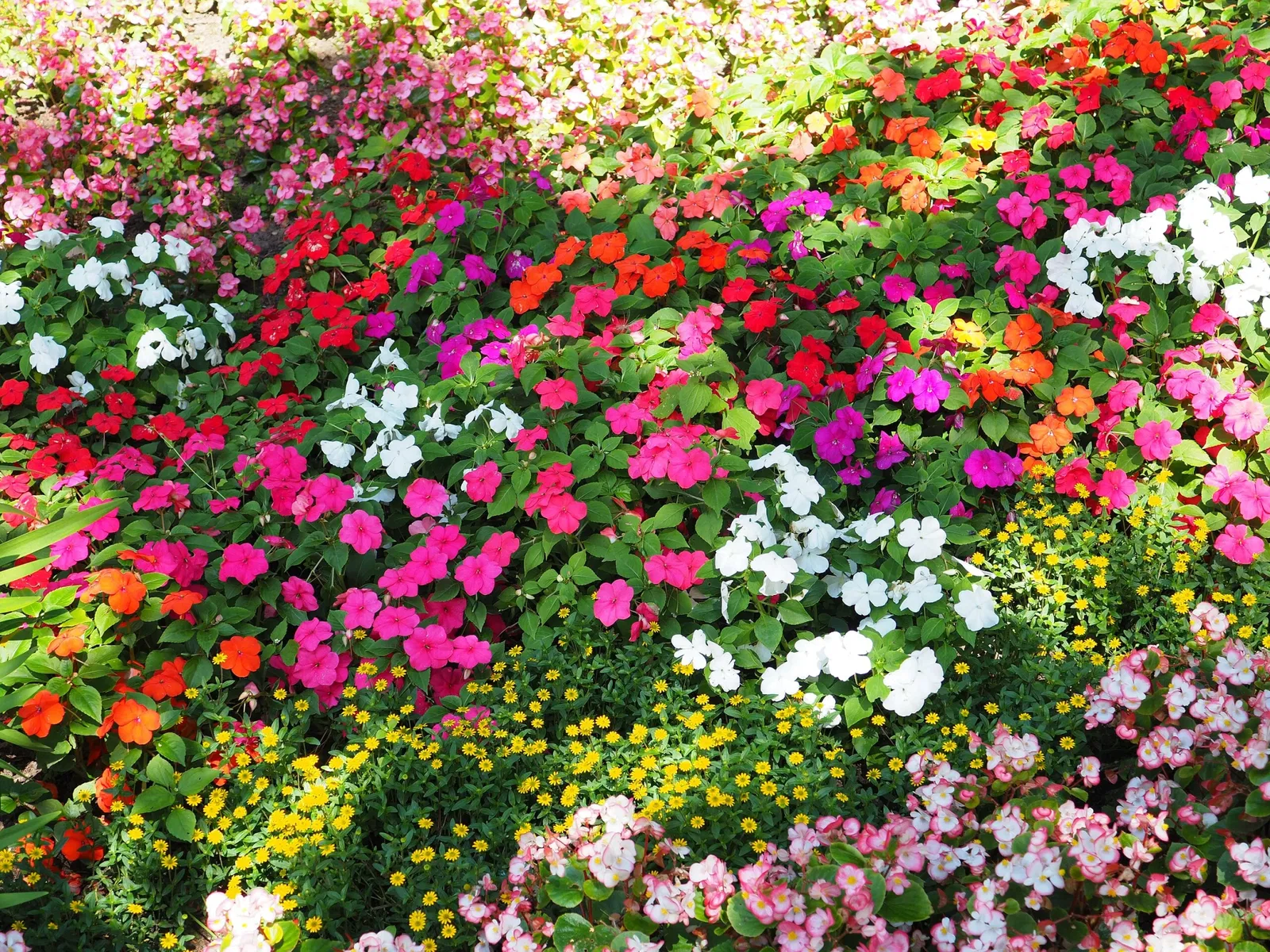 Jardín botánico de Neuss