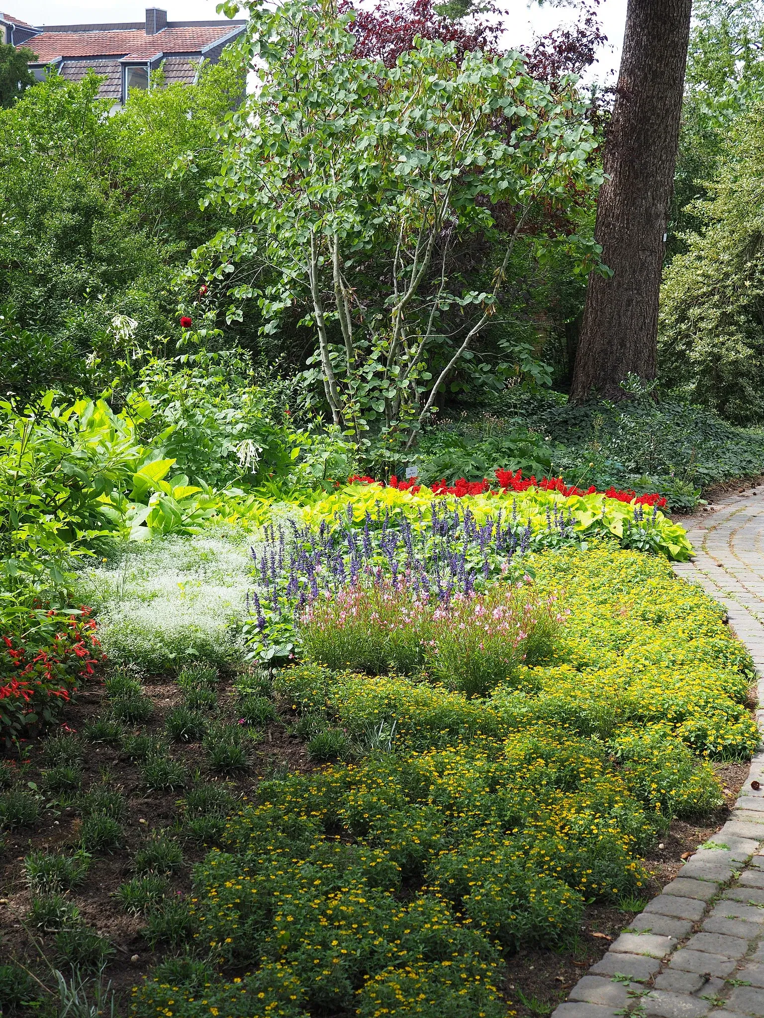 Botanischer Garten der Stadt Neuss