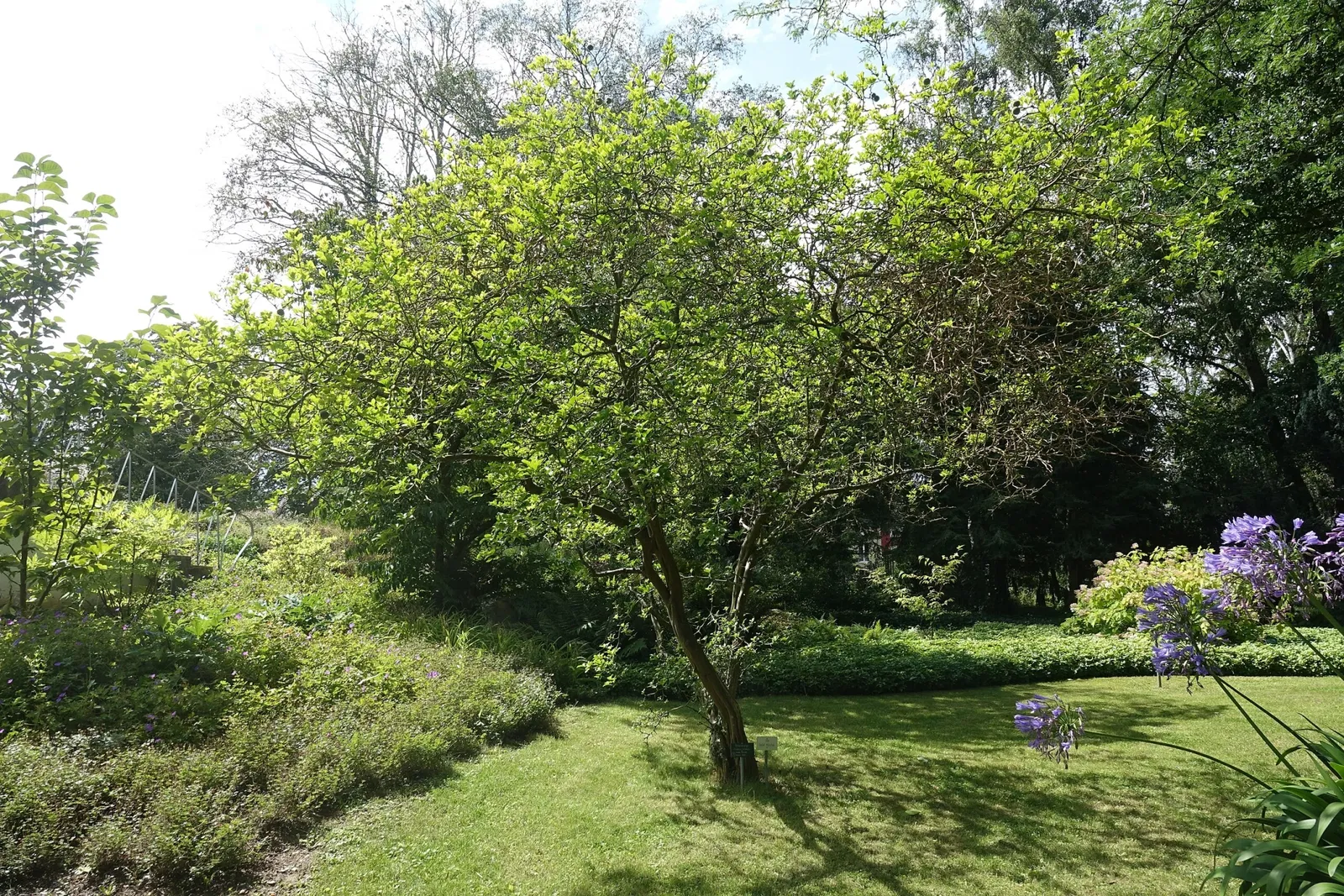 Jardín botánico de Neuss
