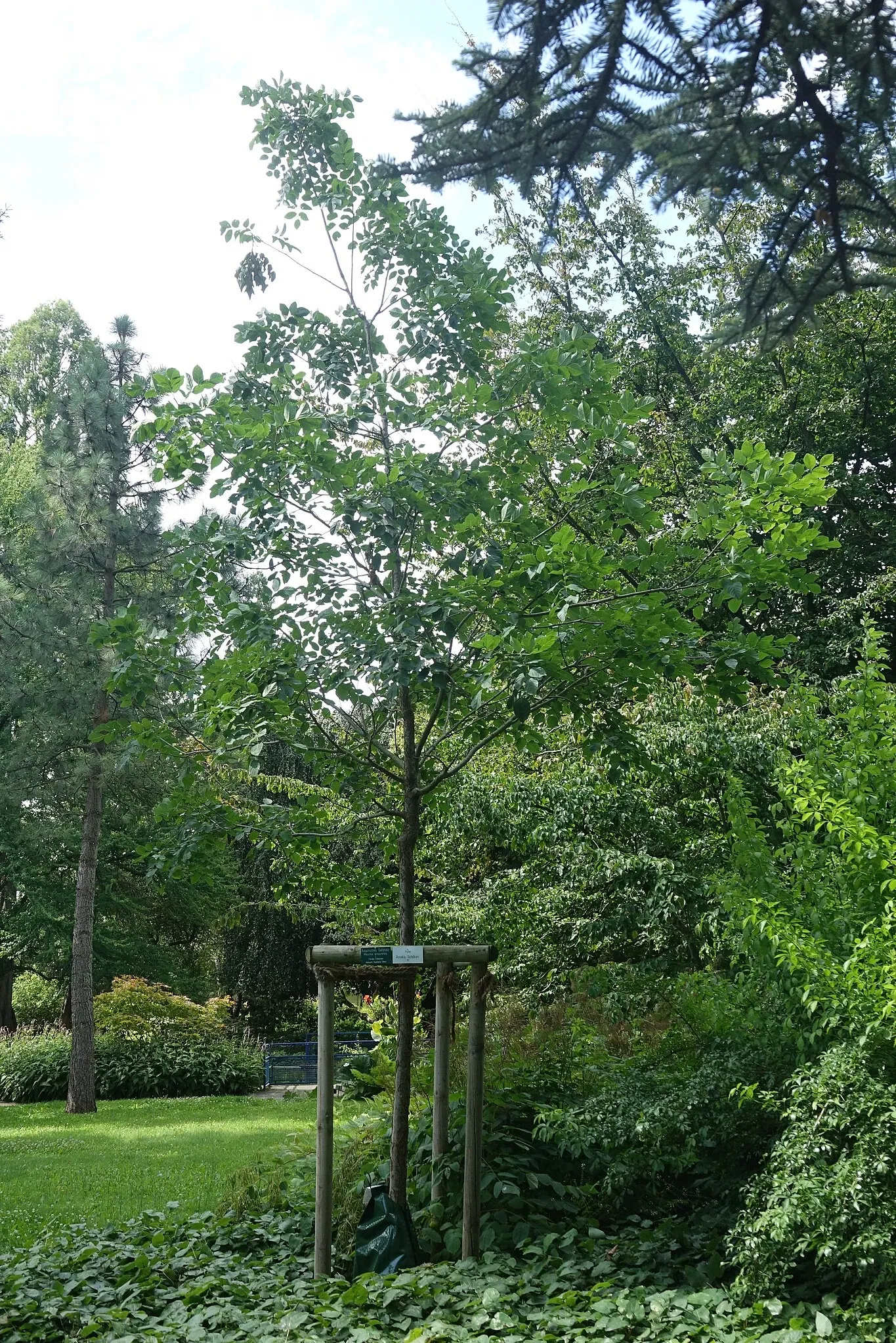 Jardín botánico de Neuss