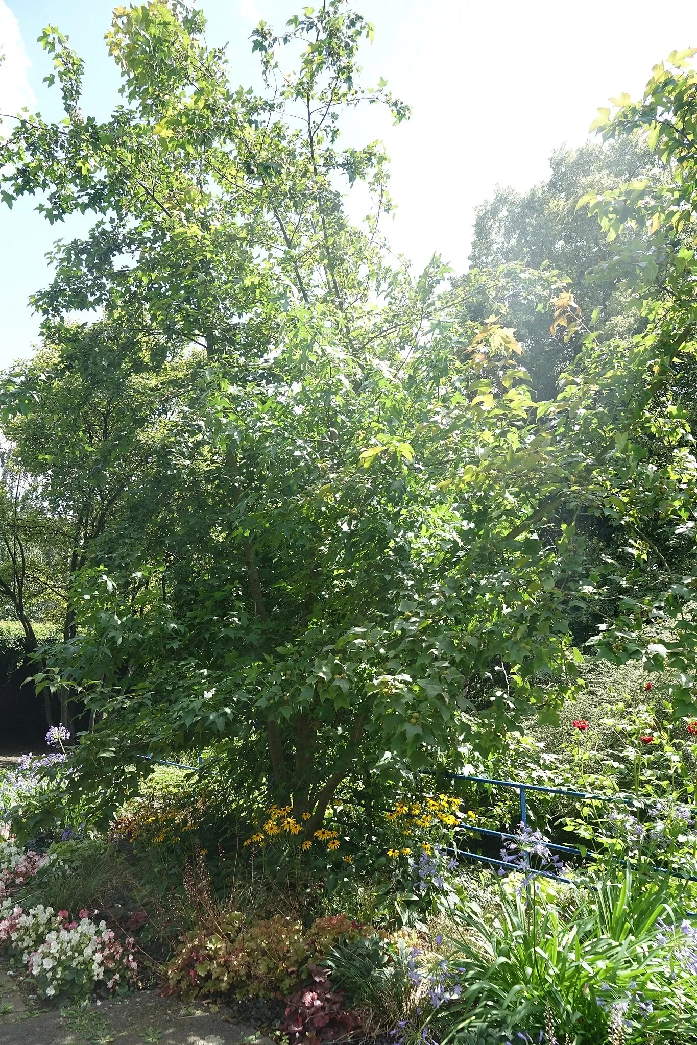 Botanischen Garten Neuss