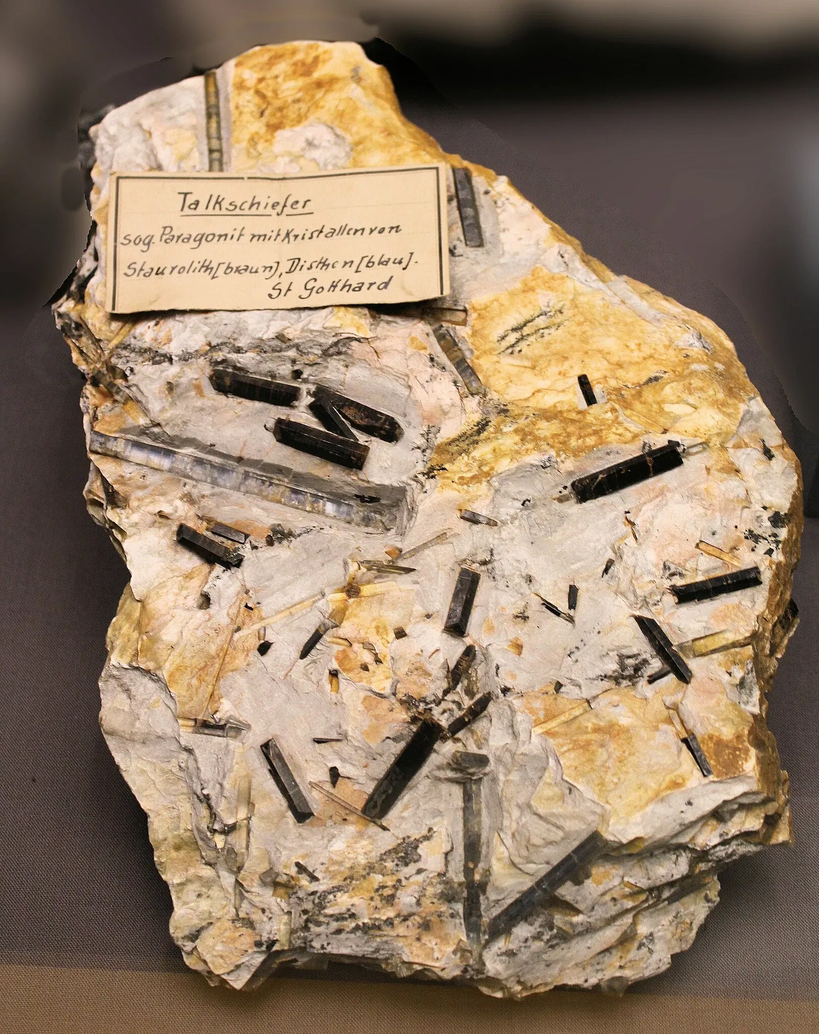 Roemer-und-Pelizaeus-Museum