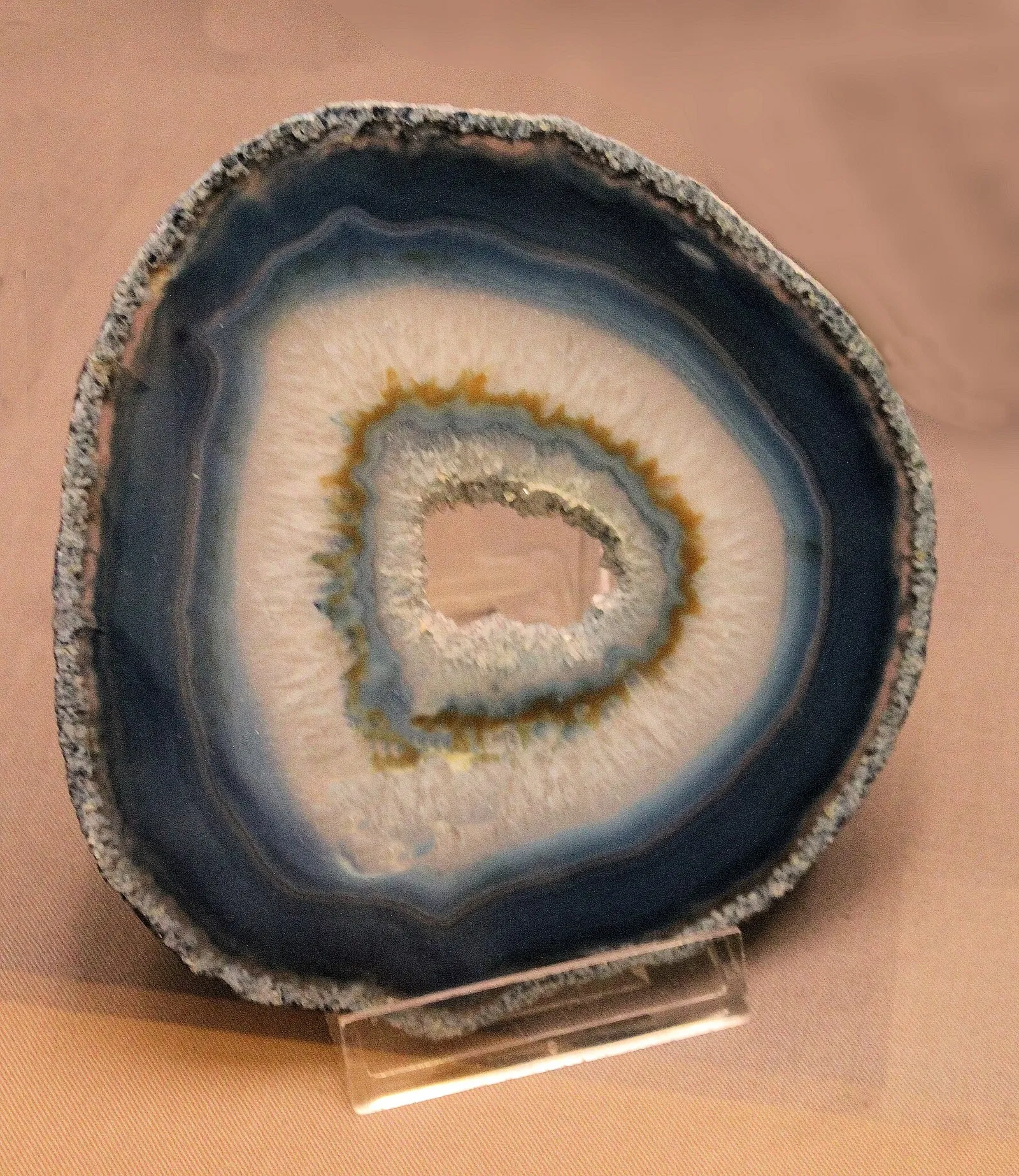 Musée Roemer et Pelizaeus