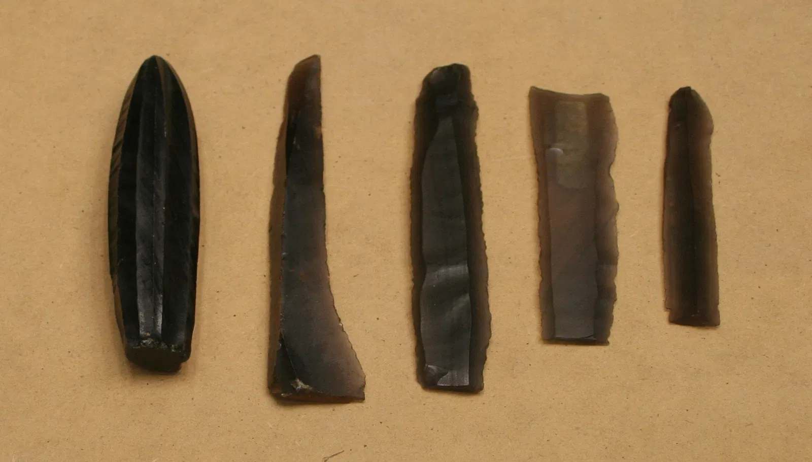 Roemer-und-Pelizaeus-Museum