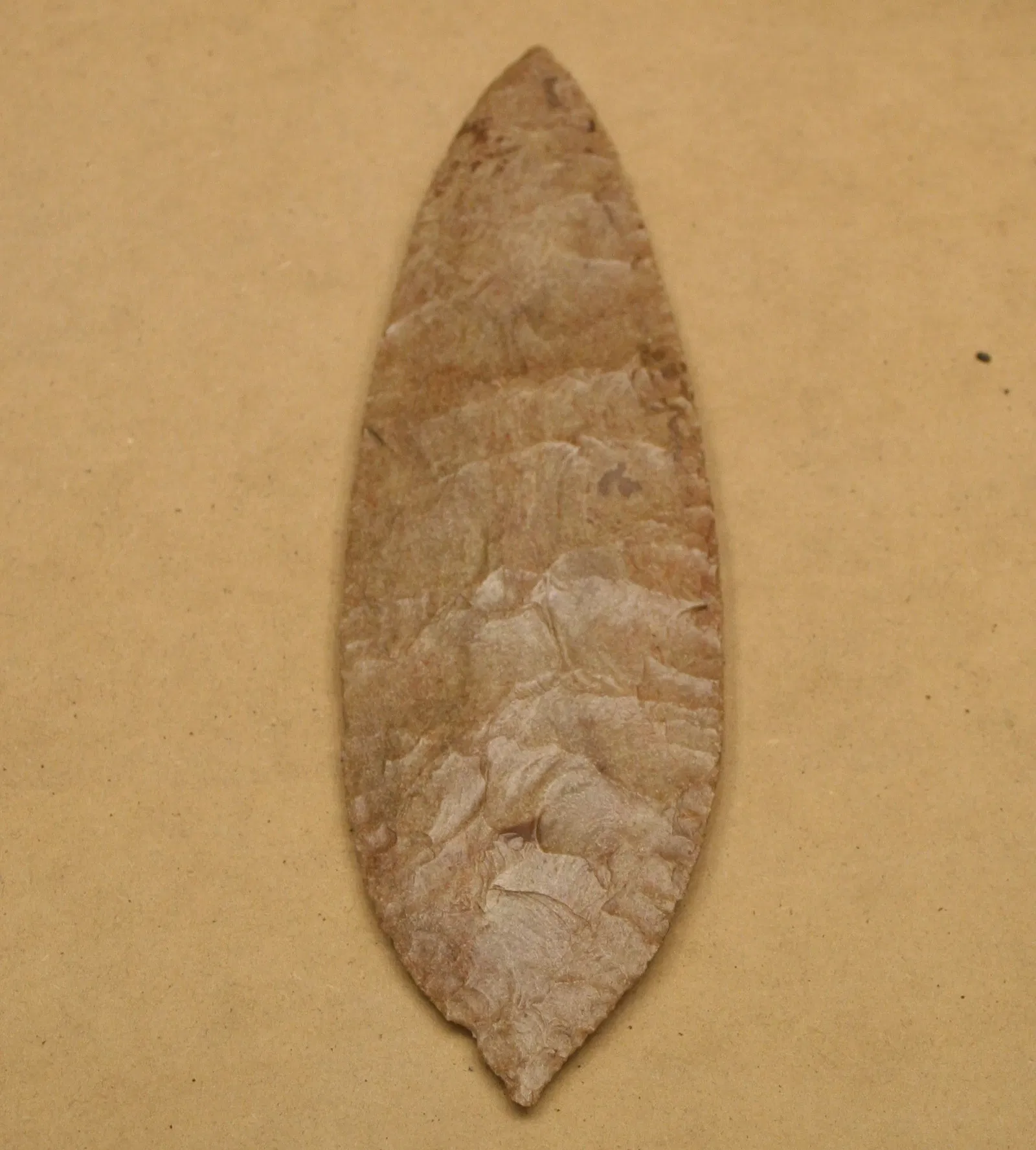 Roemer-und-Pelizaeus-Museum