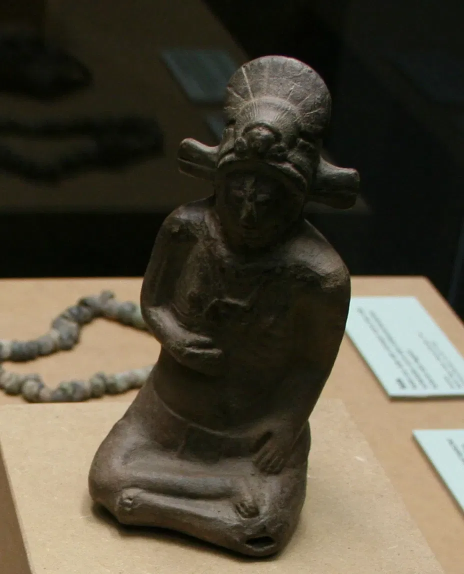 Musée Roemer et Pelizaeus