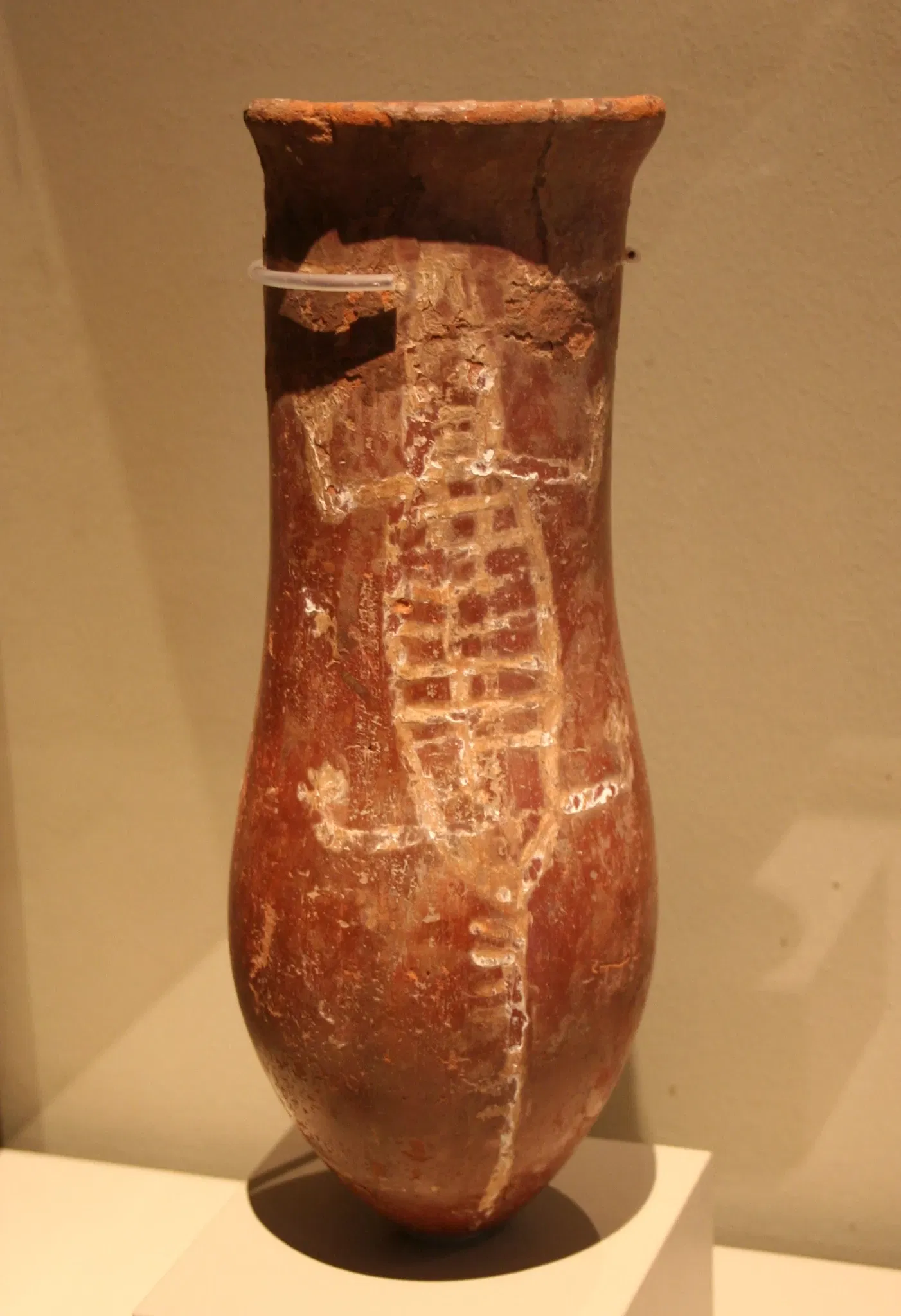 Roemer-und-Pelizaeus-Museum