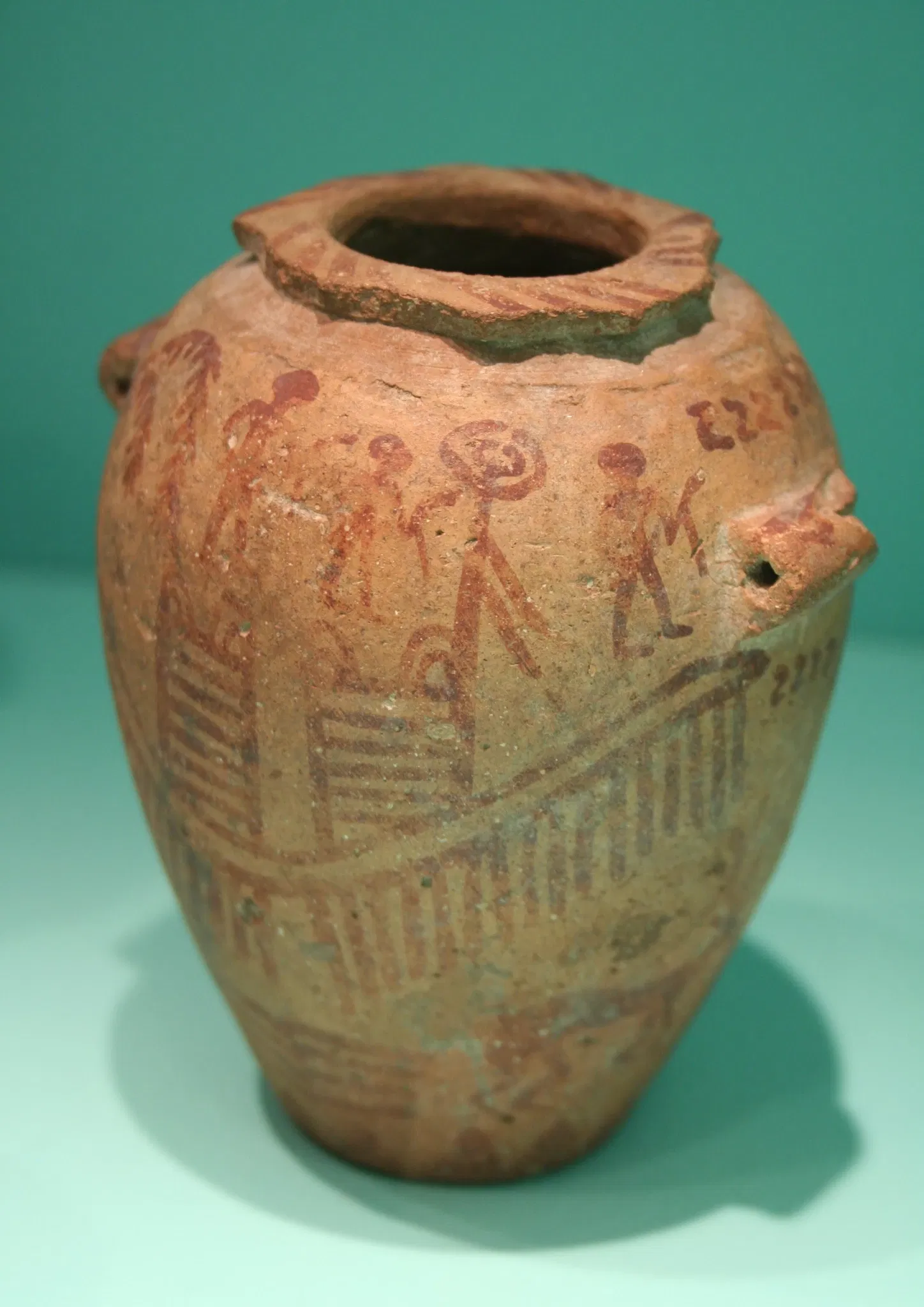 Musée Roemer et Pelizaeus